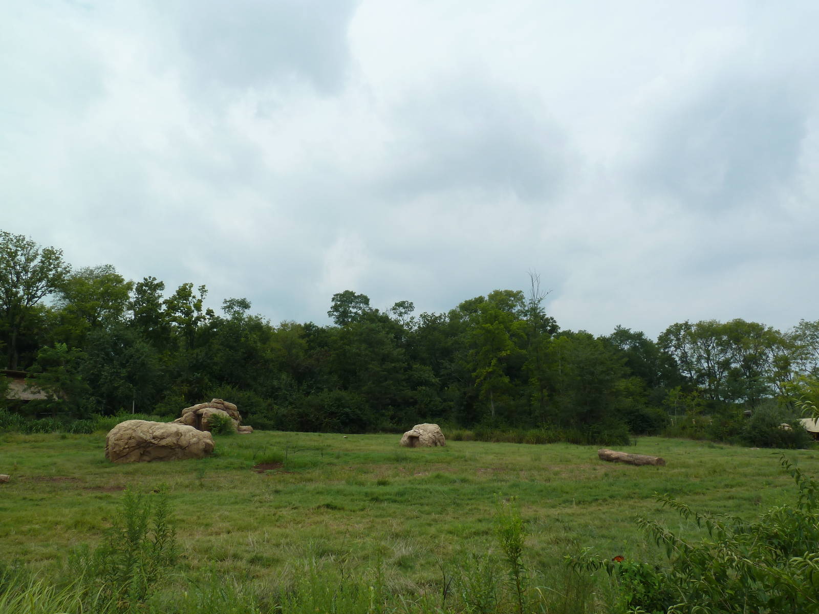 3-Acre African Elephant Exhibit