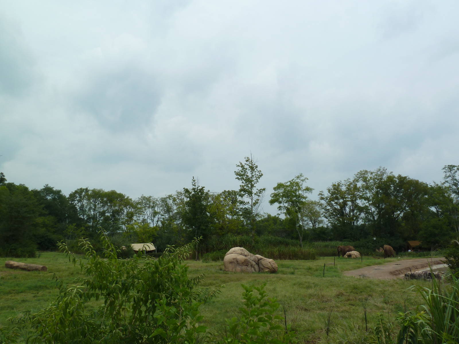3-Acre African Elephant Exhibit