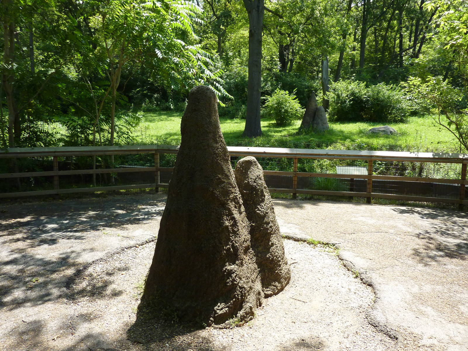 3-Acre Chimpanzee Exhibit - Viewing Area