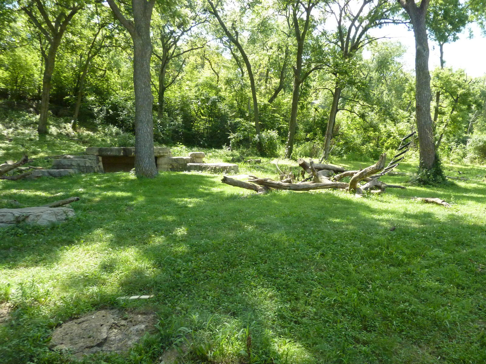 3-Acre Chimpanzee Exhibit