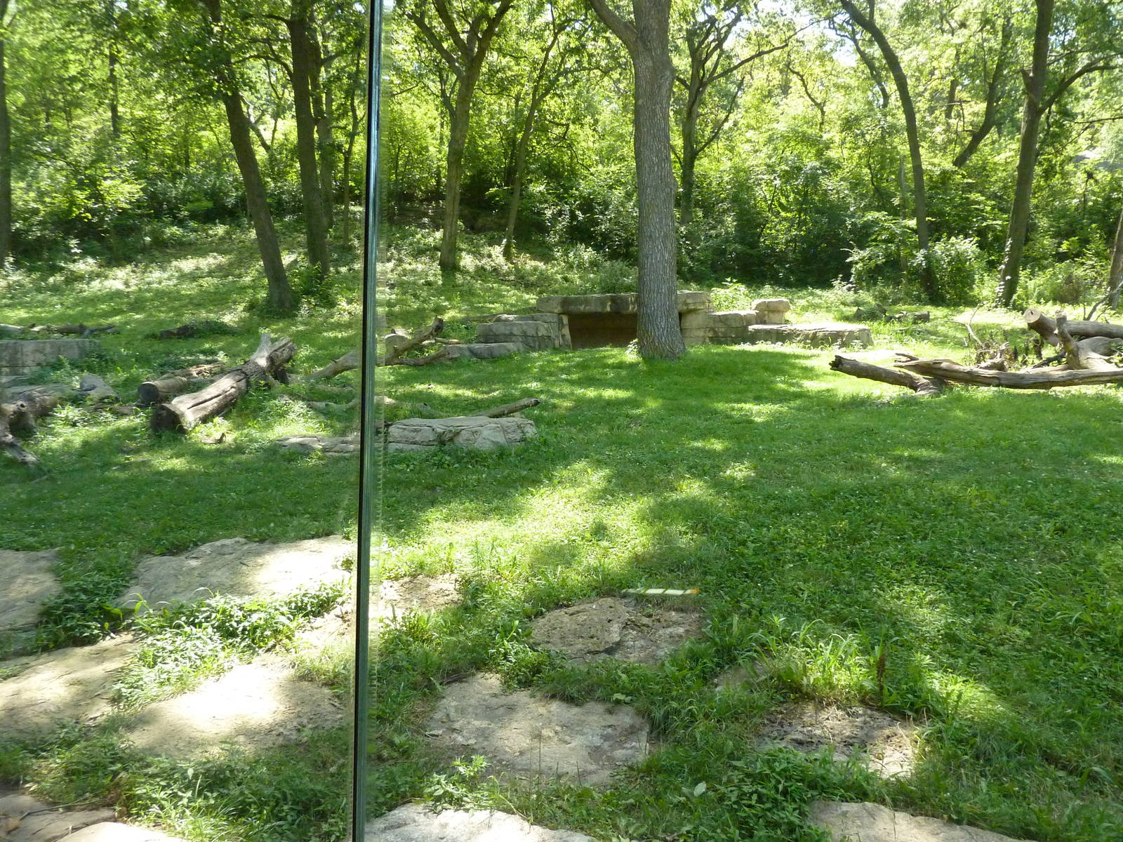 3-Acre Chimpanzee Exhibit