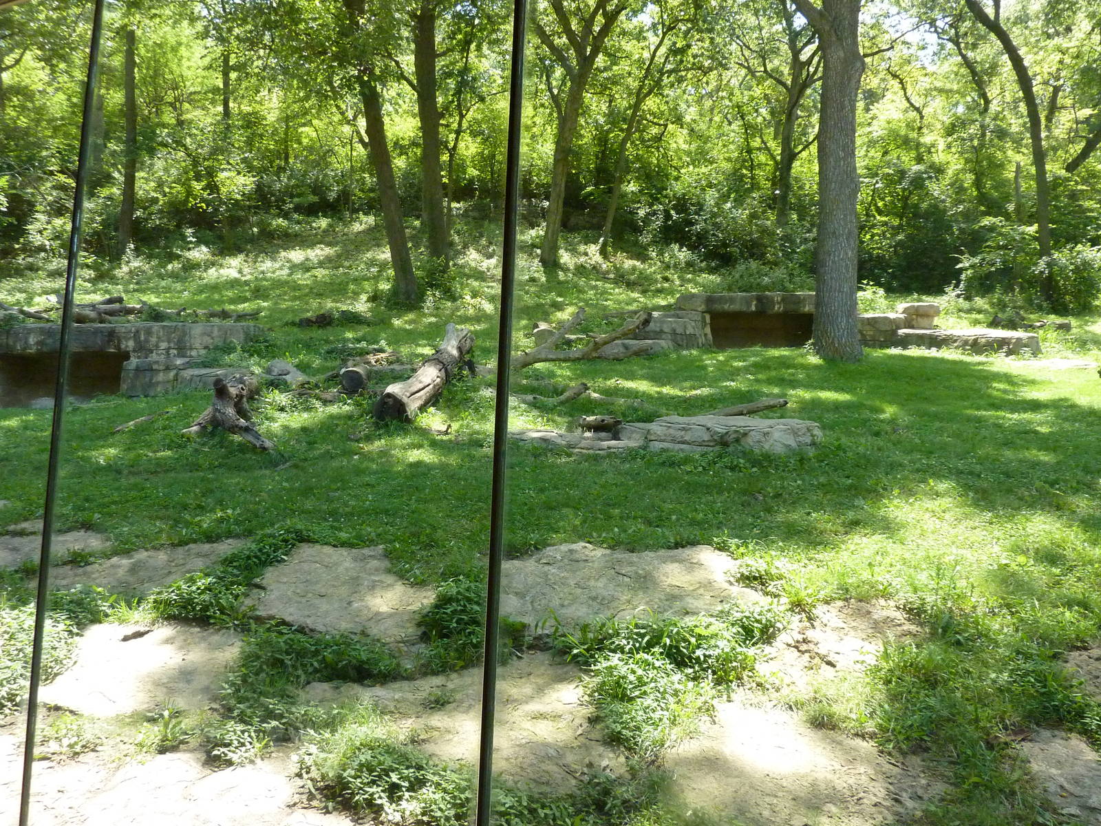 3-Acre Chimpanzee Exhibit