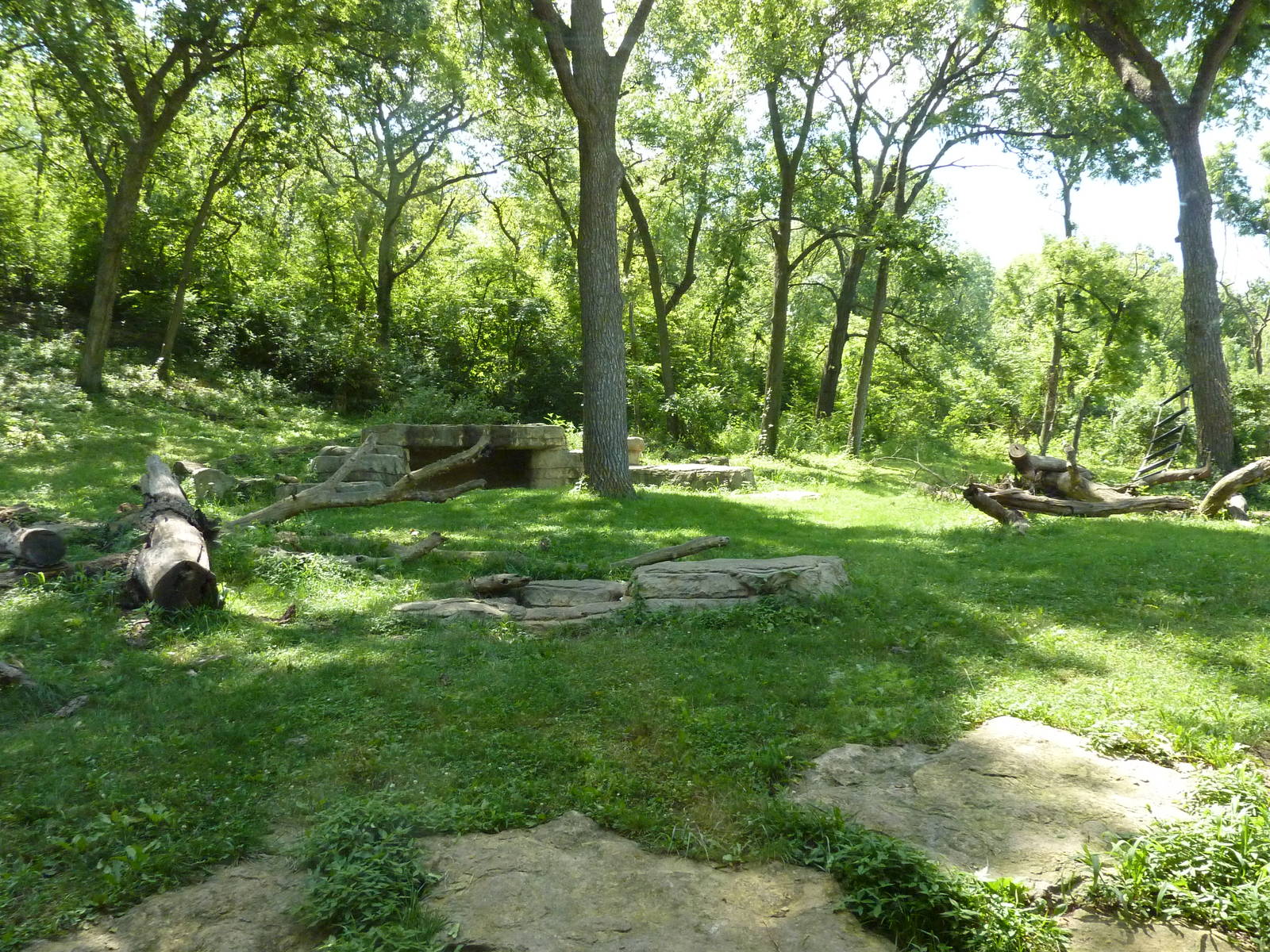 3-Acre Chimpanzee Exhibit
