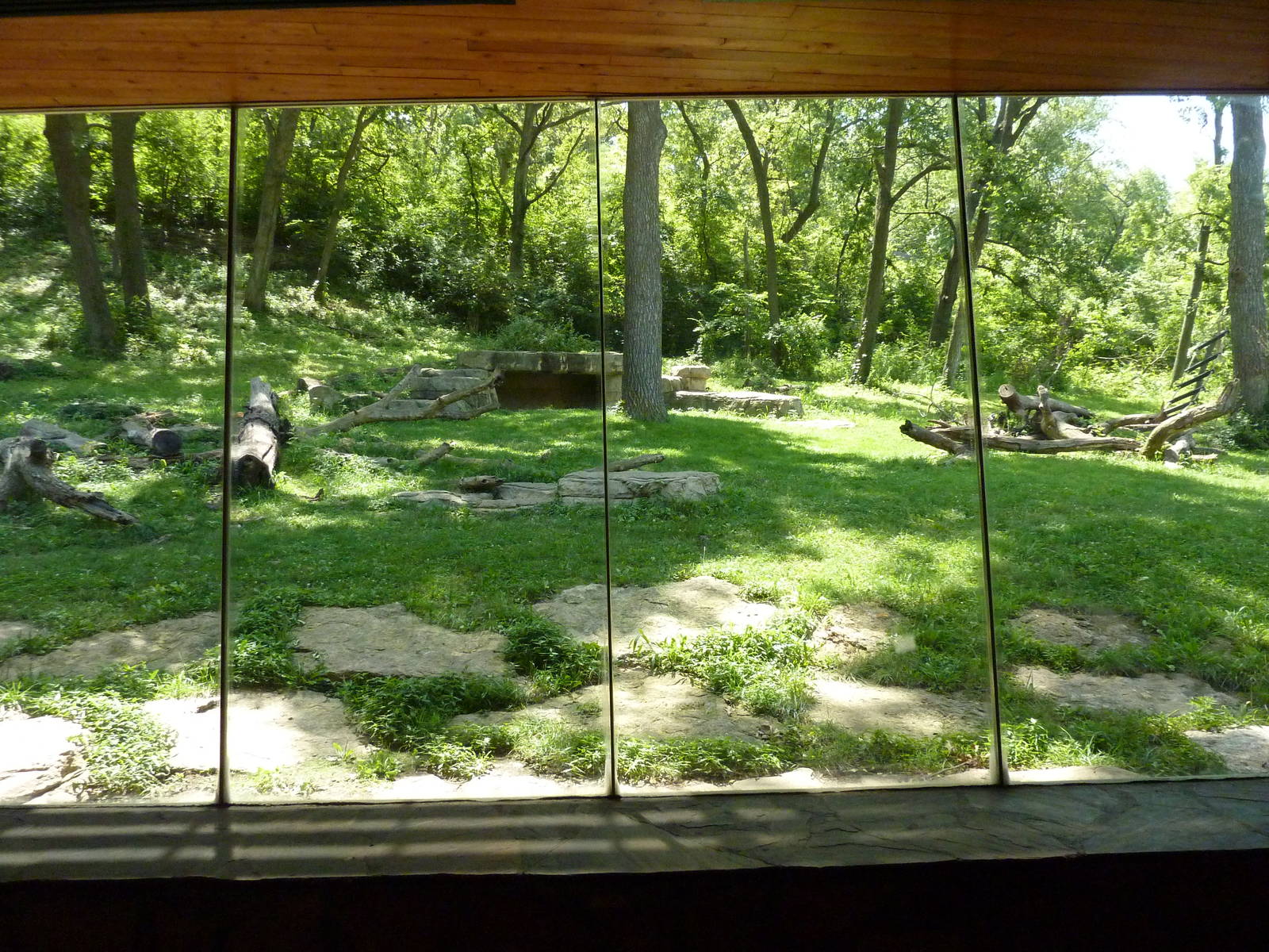 3-Acre Chimpanzee Exhibit