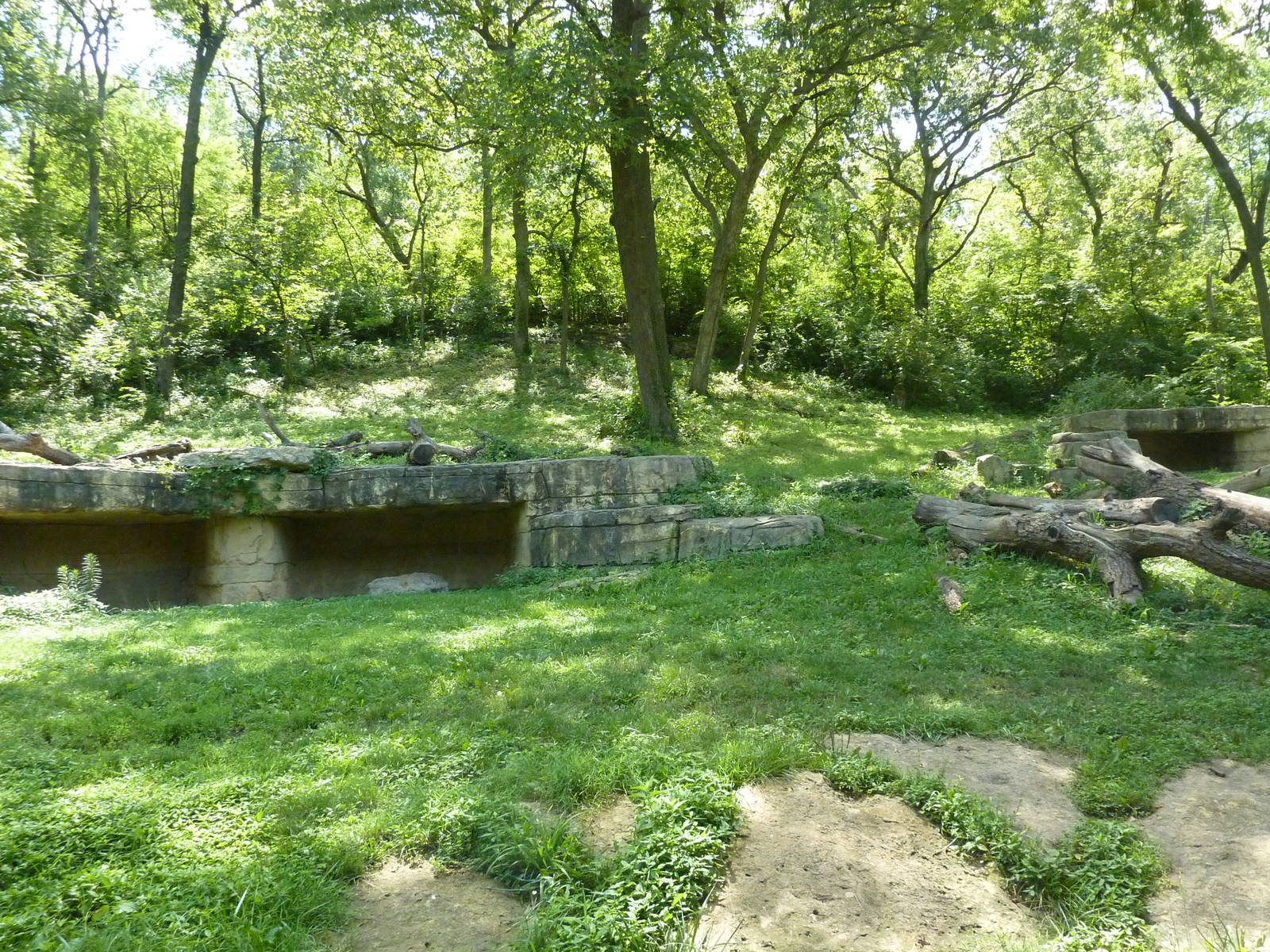 3-Acre Chimpanzee Exhibit