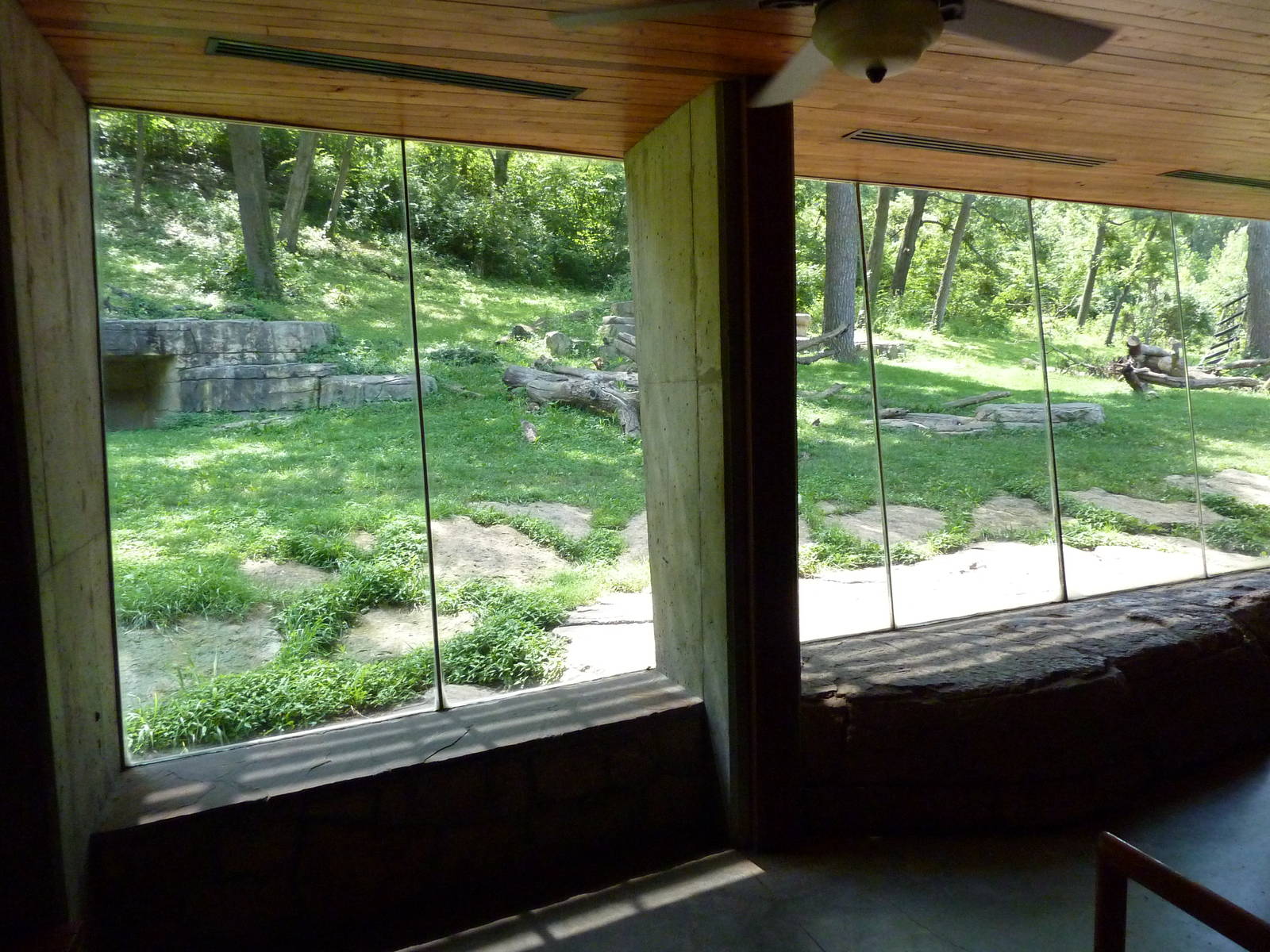 3-Acre Chimpanzee Exhibit