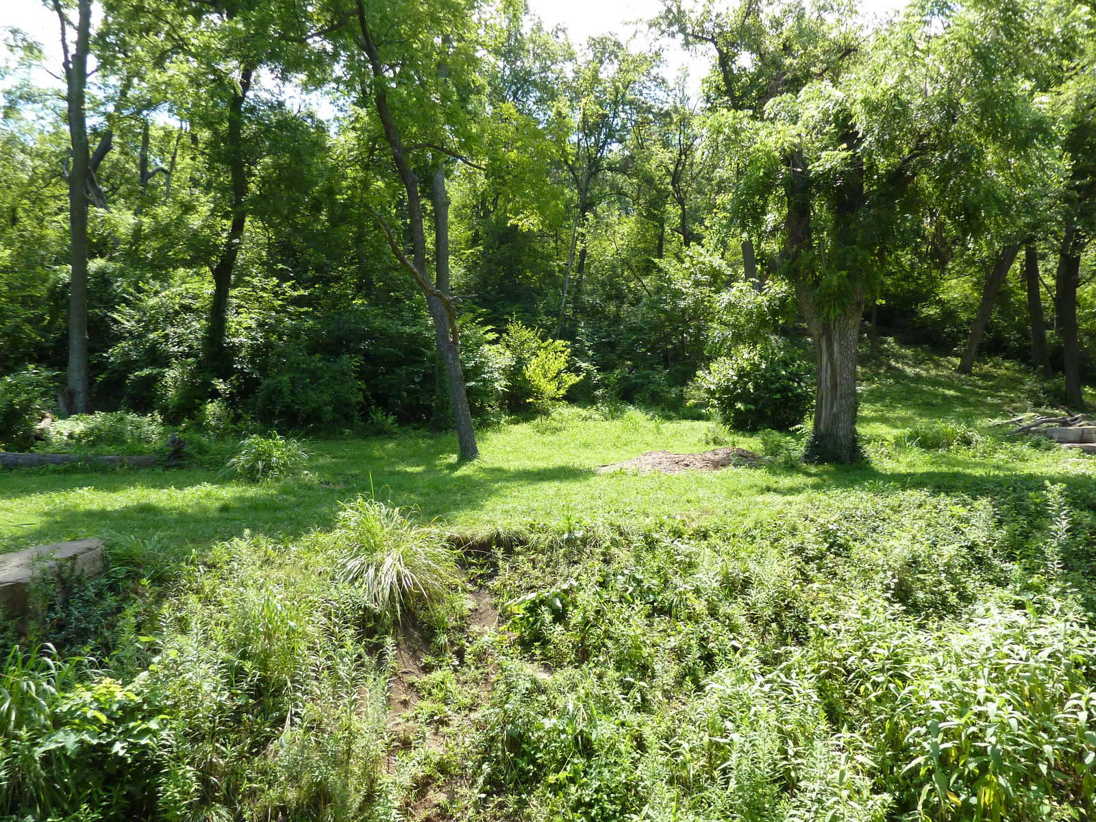 3-Acre Chimpanzee Exhibit