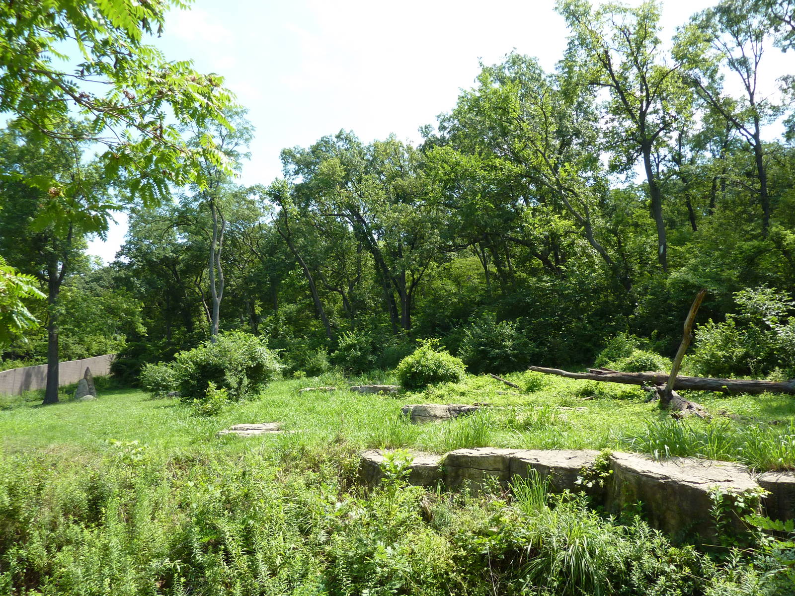 3-Acre Chimpanzee Exhibit