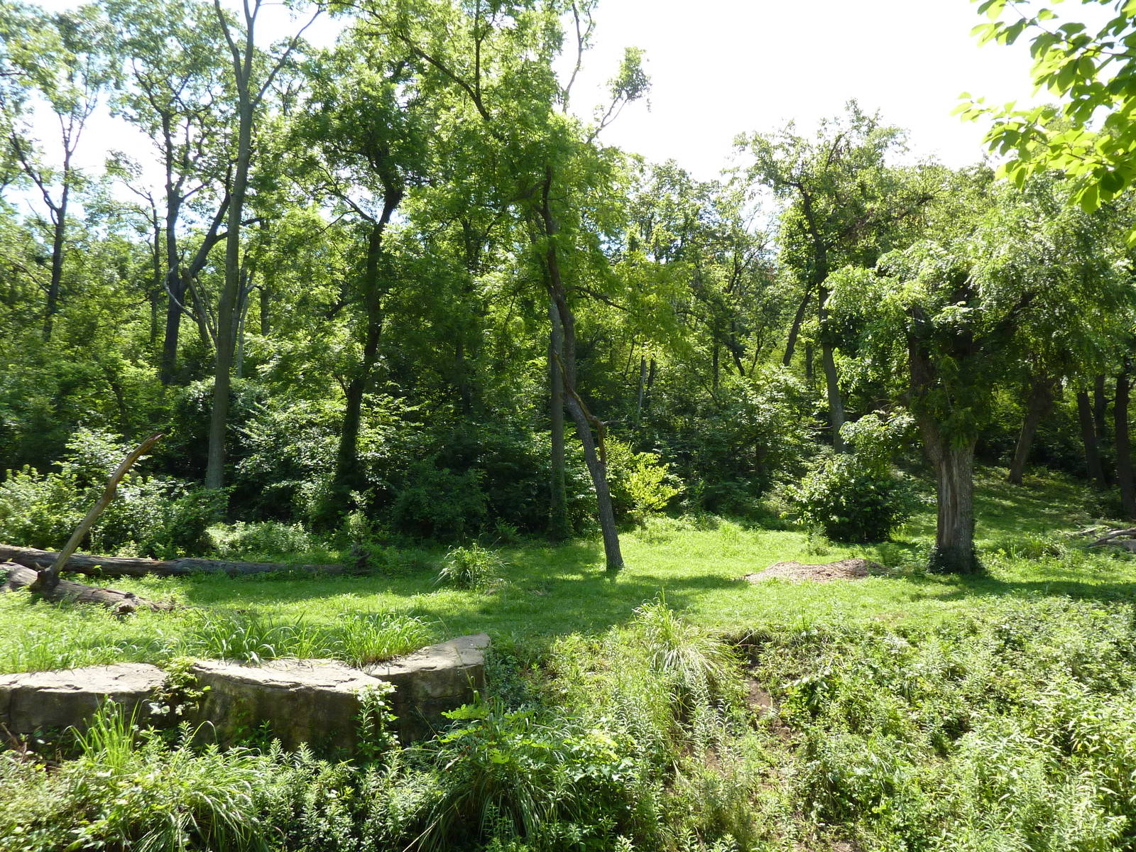 3-Acre Chimpanzee Exhibit