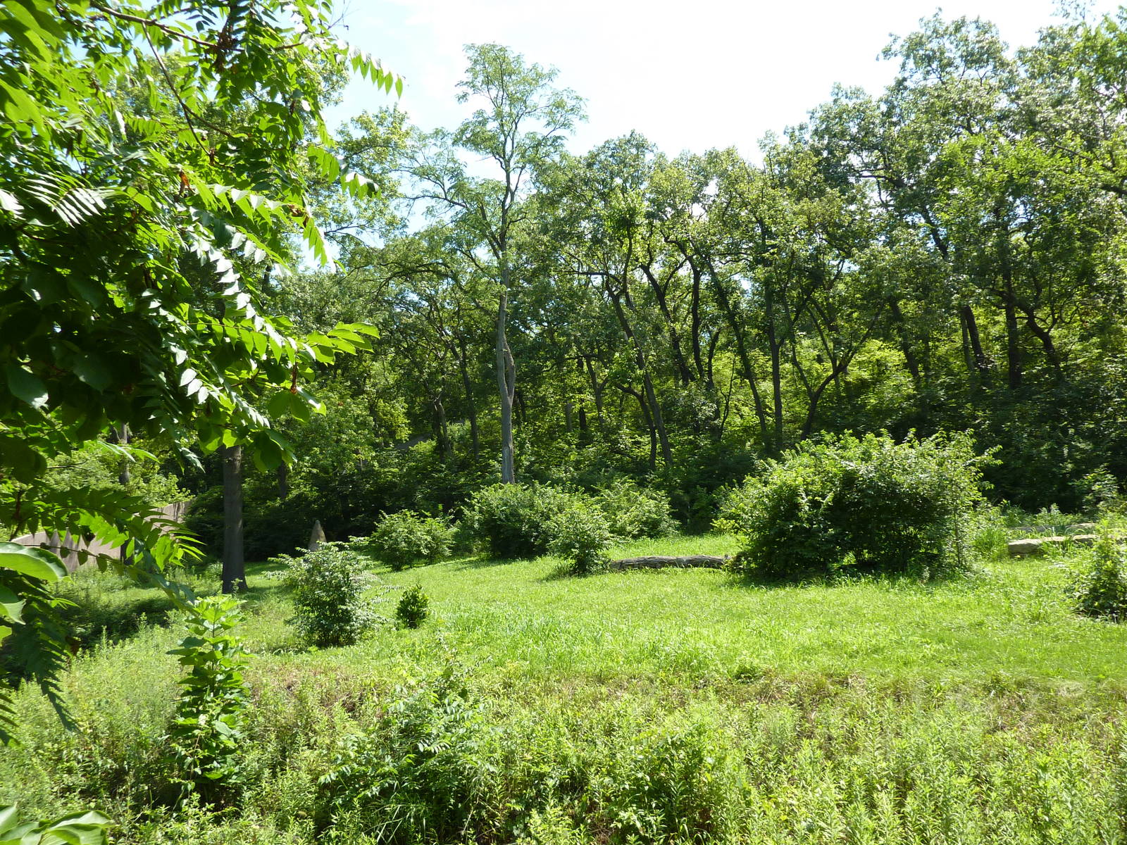 3-Acre Chimpanzee Exhibit