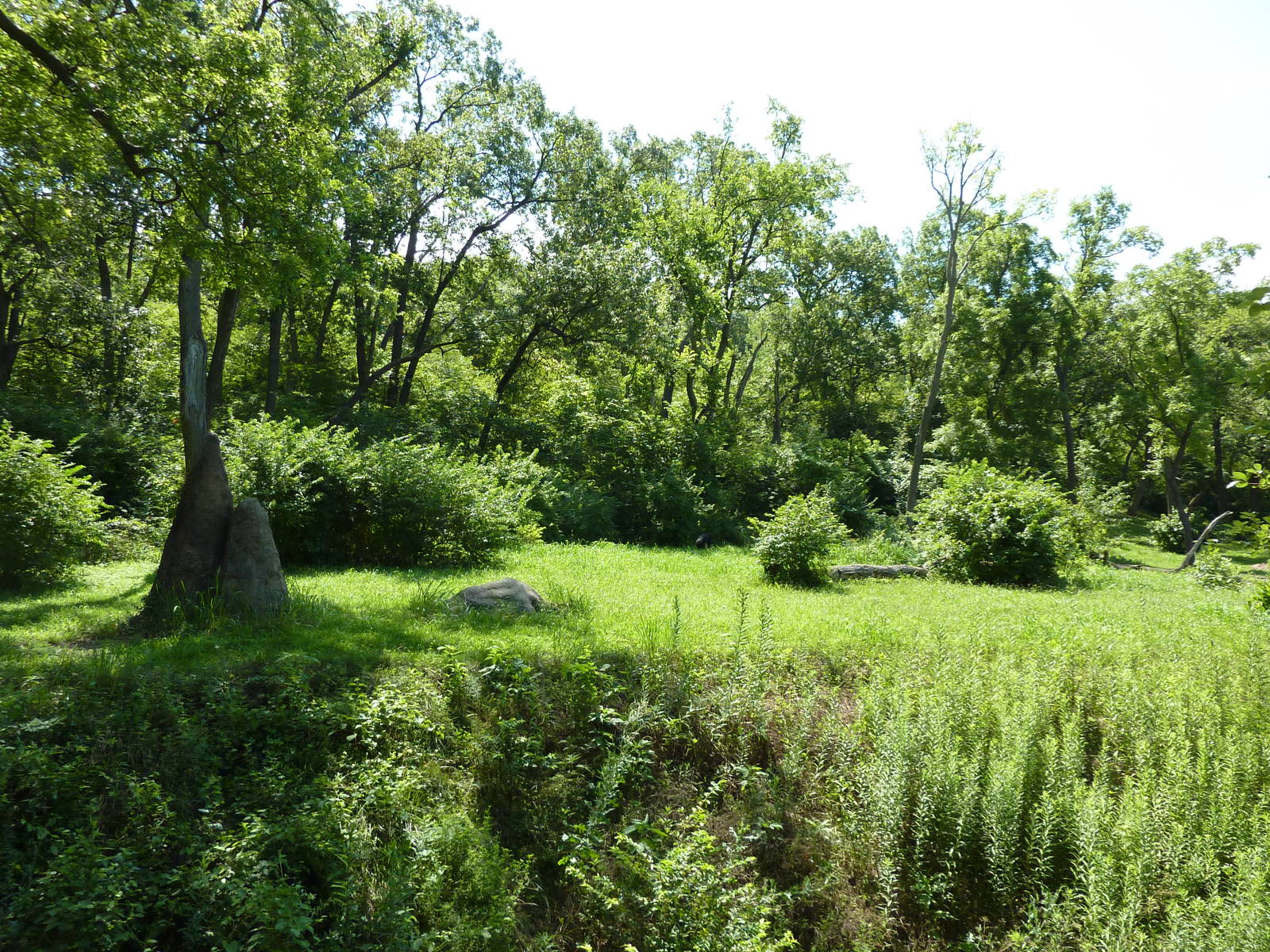 3-Acre Chimpanzee Exhibit