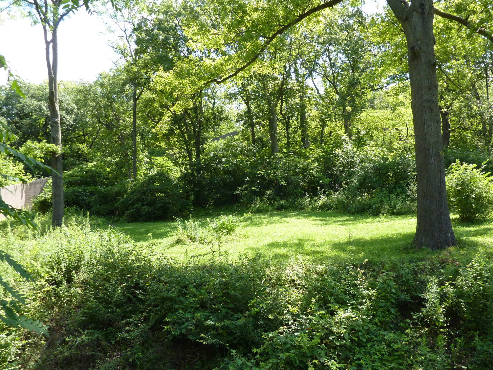 3-Acre Chimpanzee Exhibit