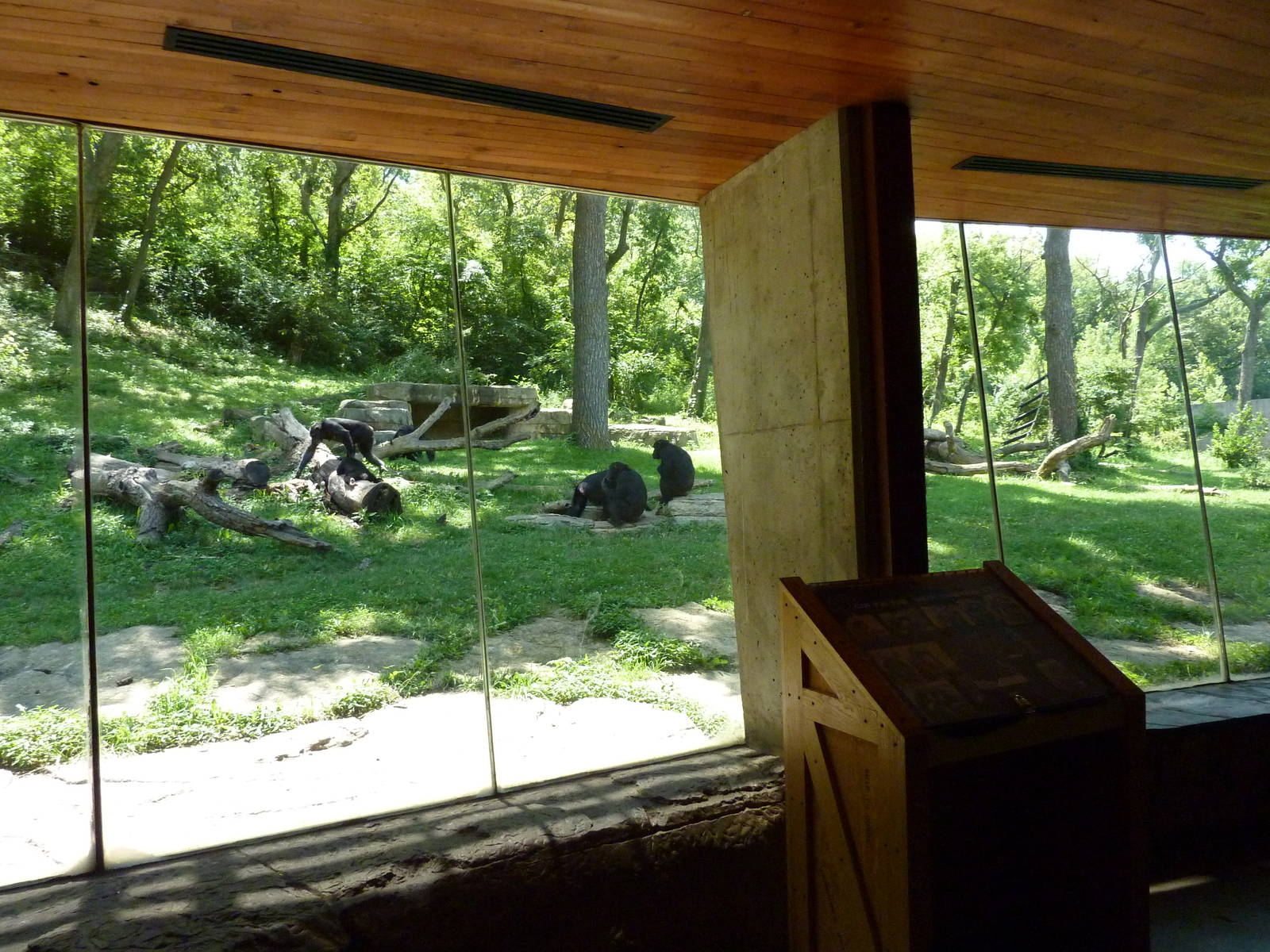 3-Acre Chimpanzee Exhibit