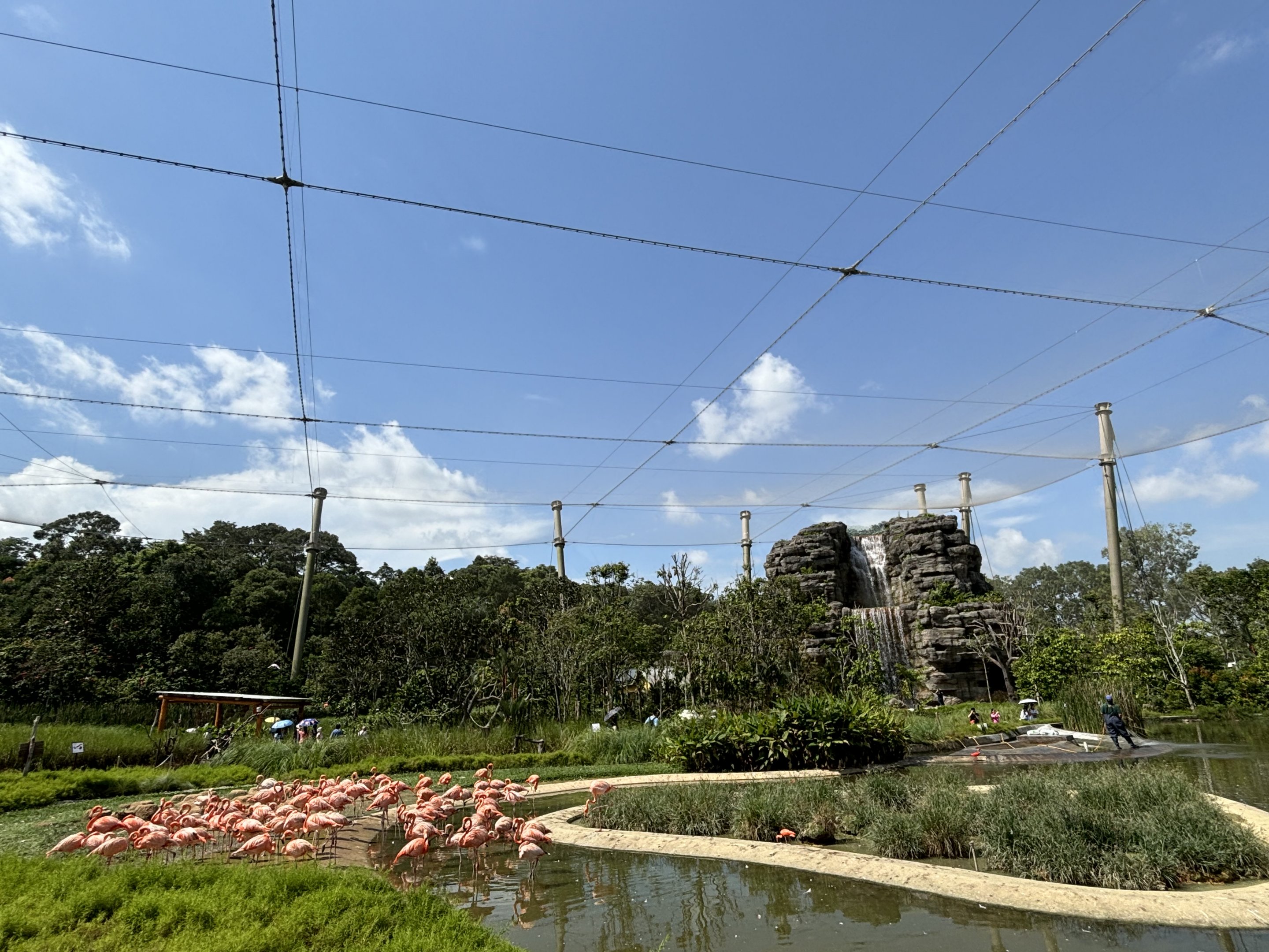 3-Acre Crimson Wetlands Aviary