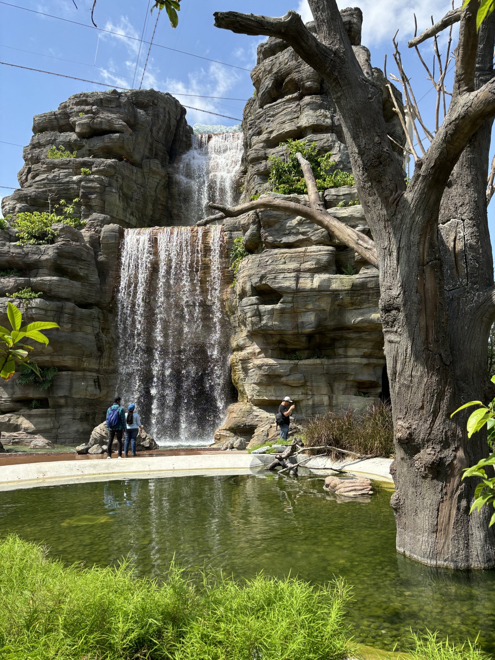3-Acre Crimson Wetlands Aviary