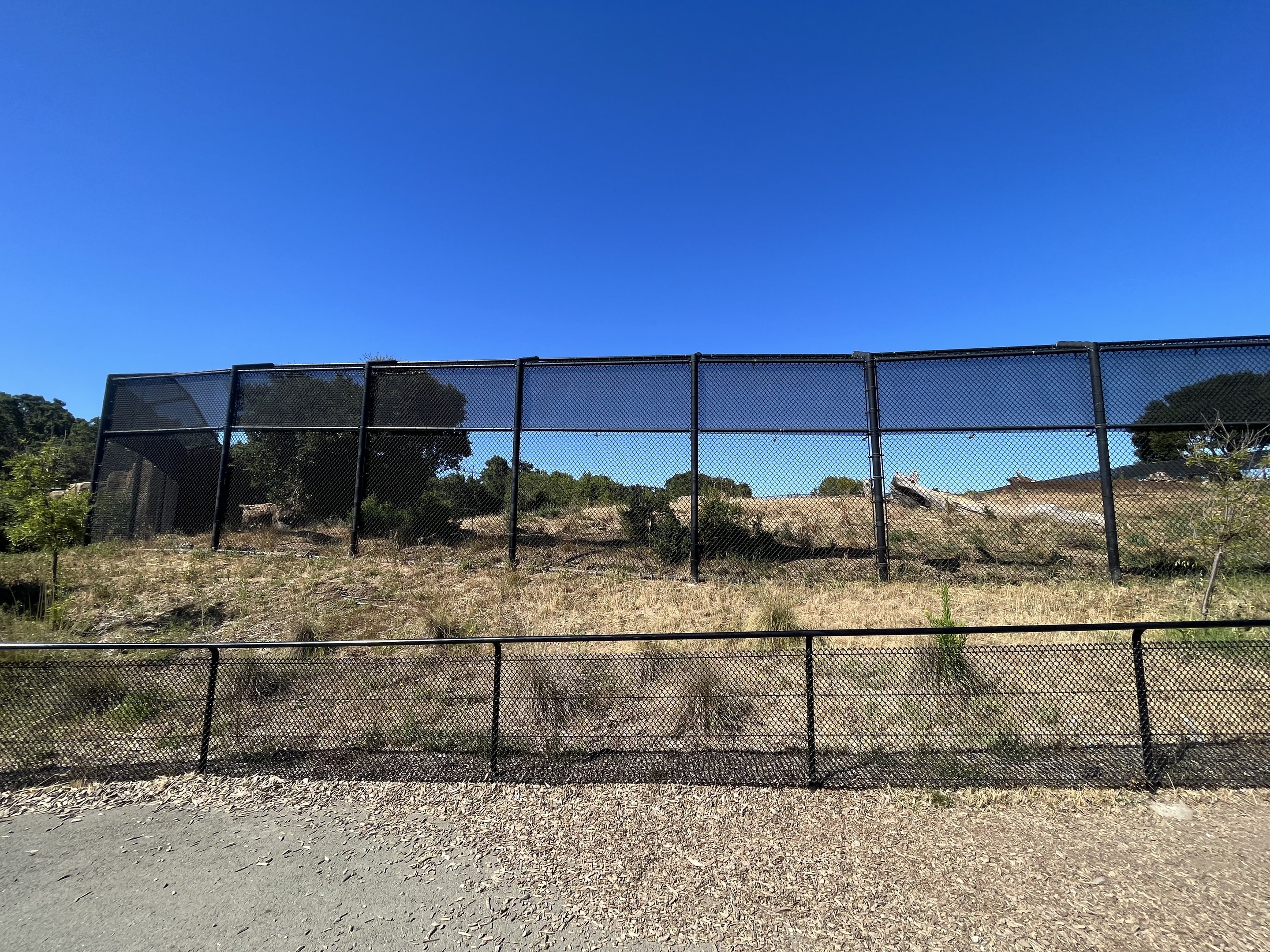 3-acre Grizzly Bear Exhibit