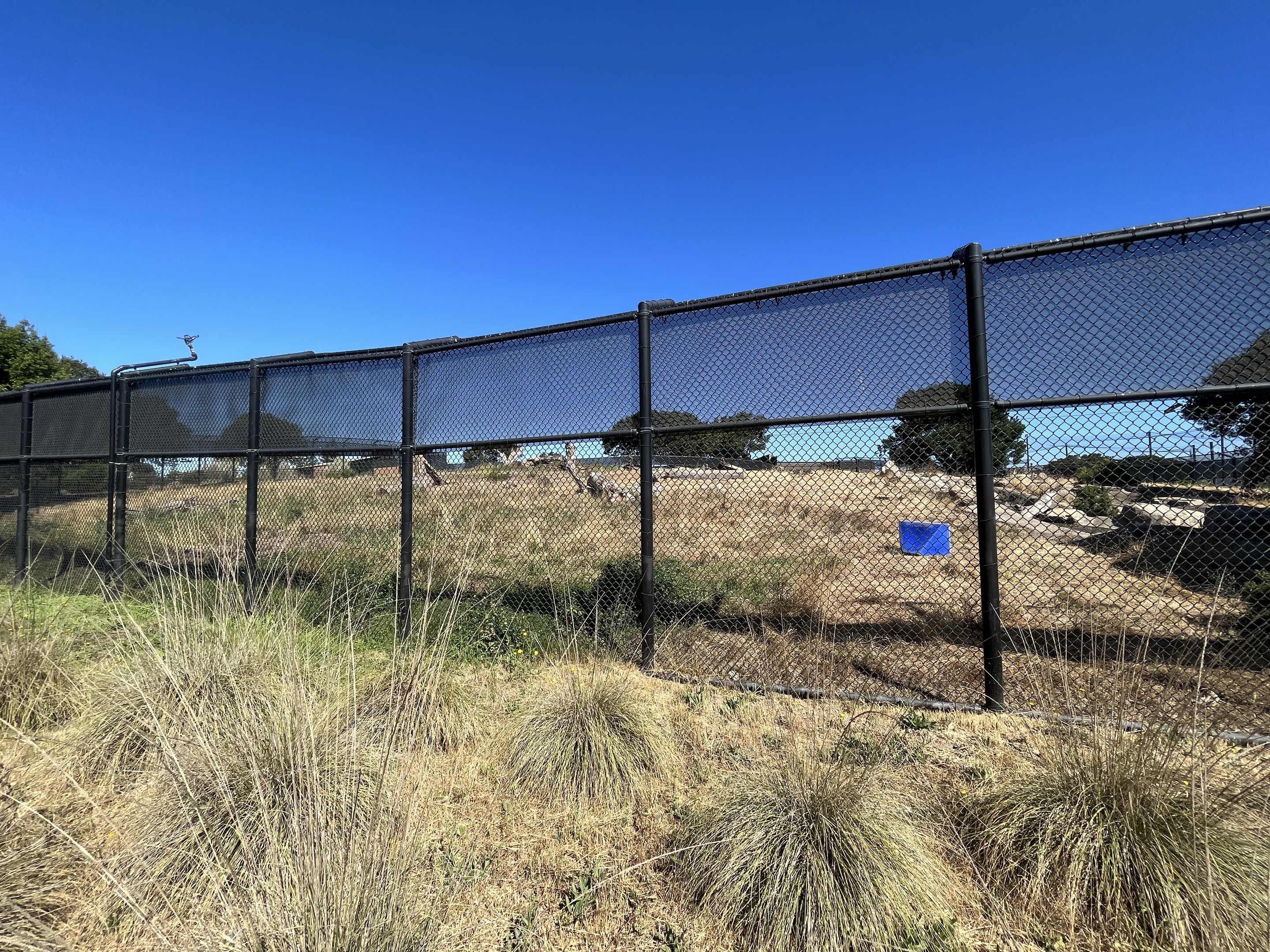 3-acre Grizzly Bear Exhibit