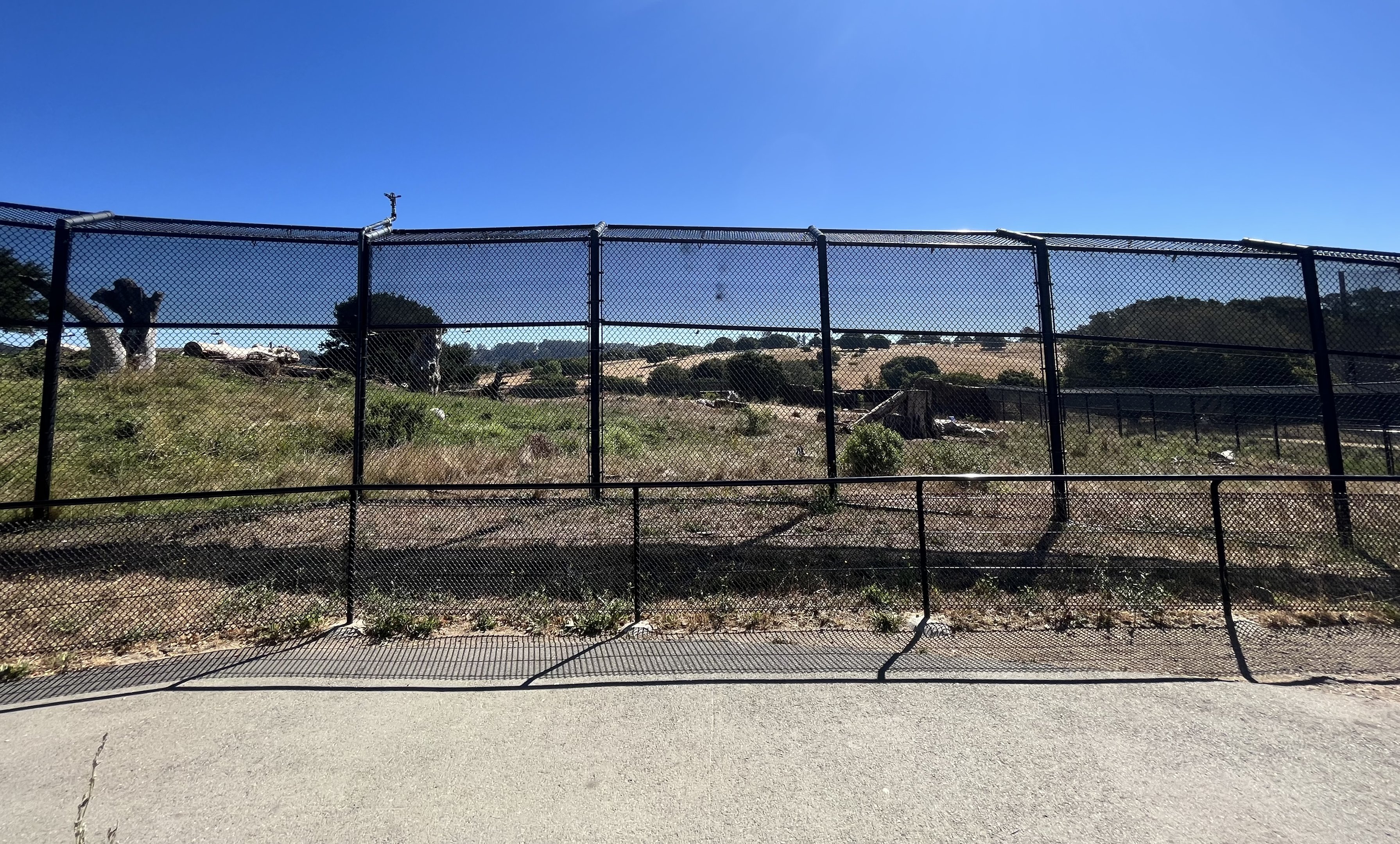 3-acre Grizzly Bear Exhibit