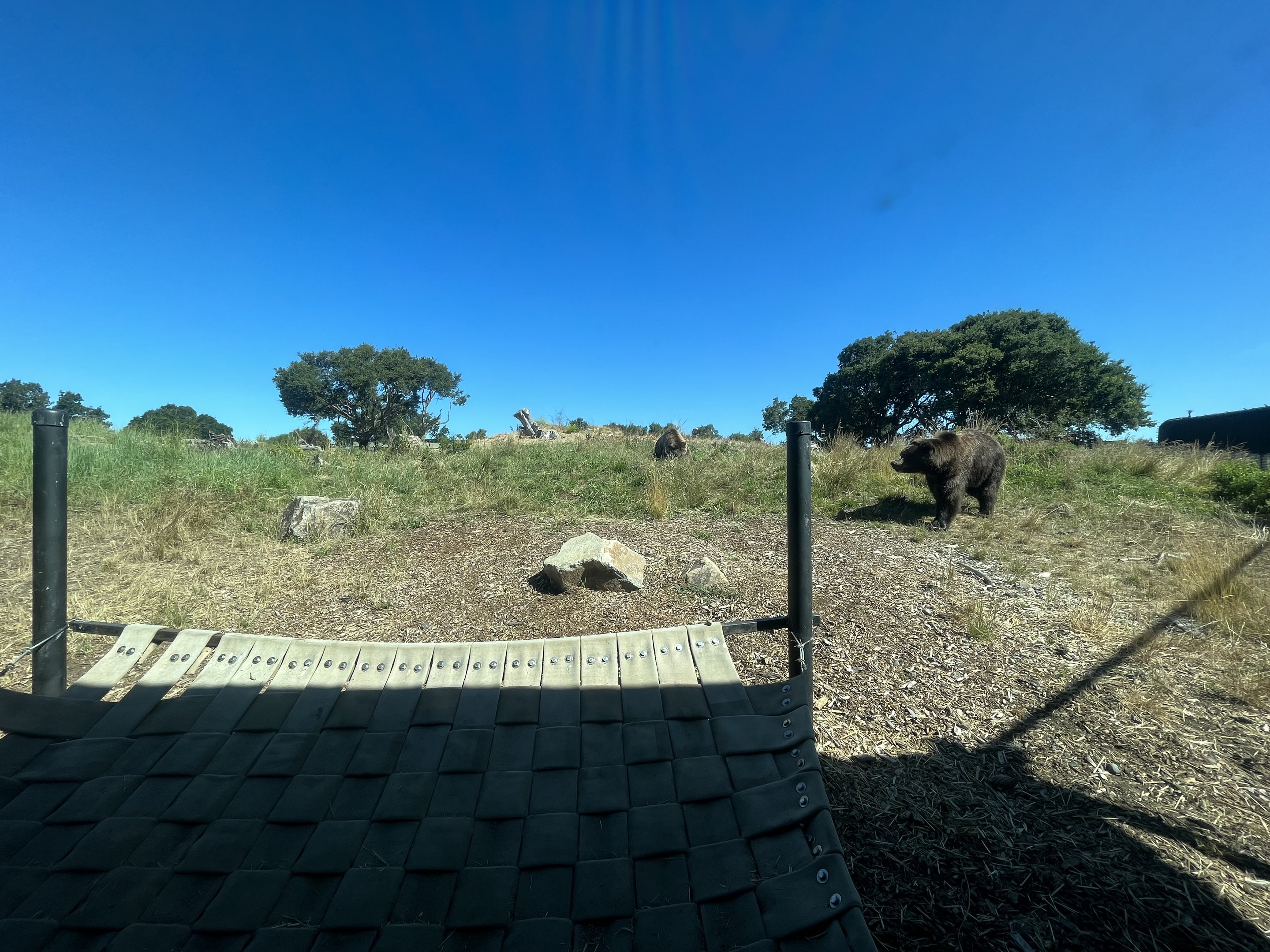 3-acre Grizzly Bear Exhibit