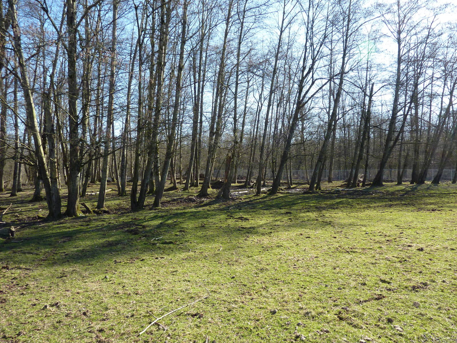 3-Acre Sika/Fallow/Pere Davids Deer Enclosure