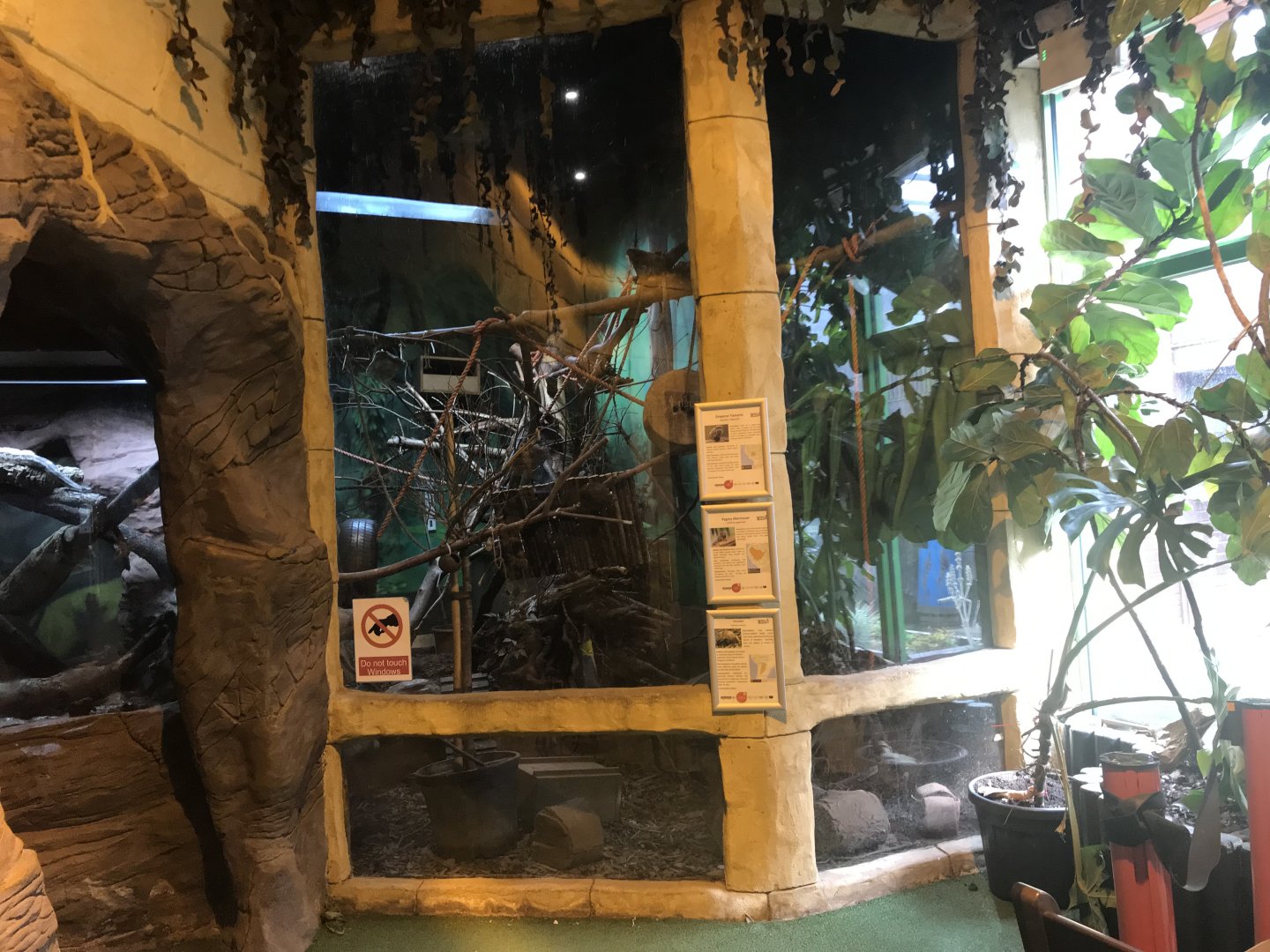 3 banded armadillo, emperor tamarin and pygmy marmoset enclosure