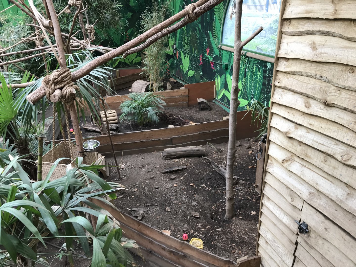 3 banded armadillo enclosures