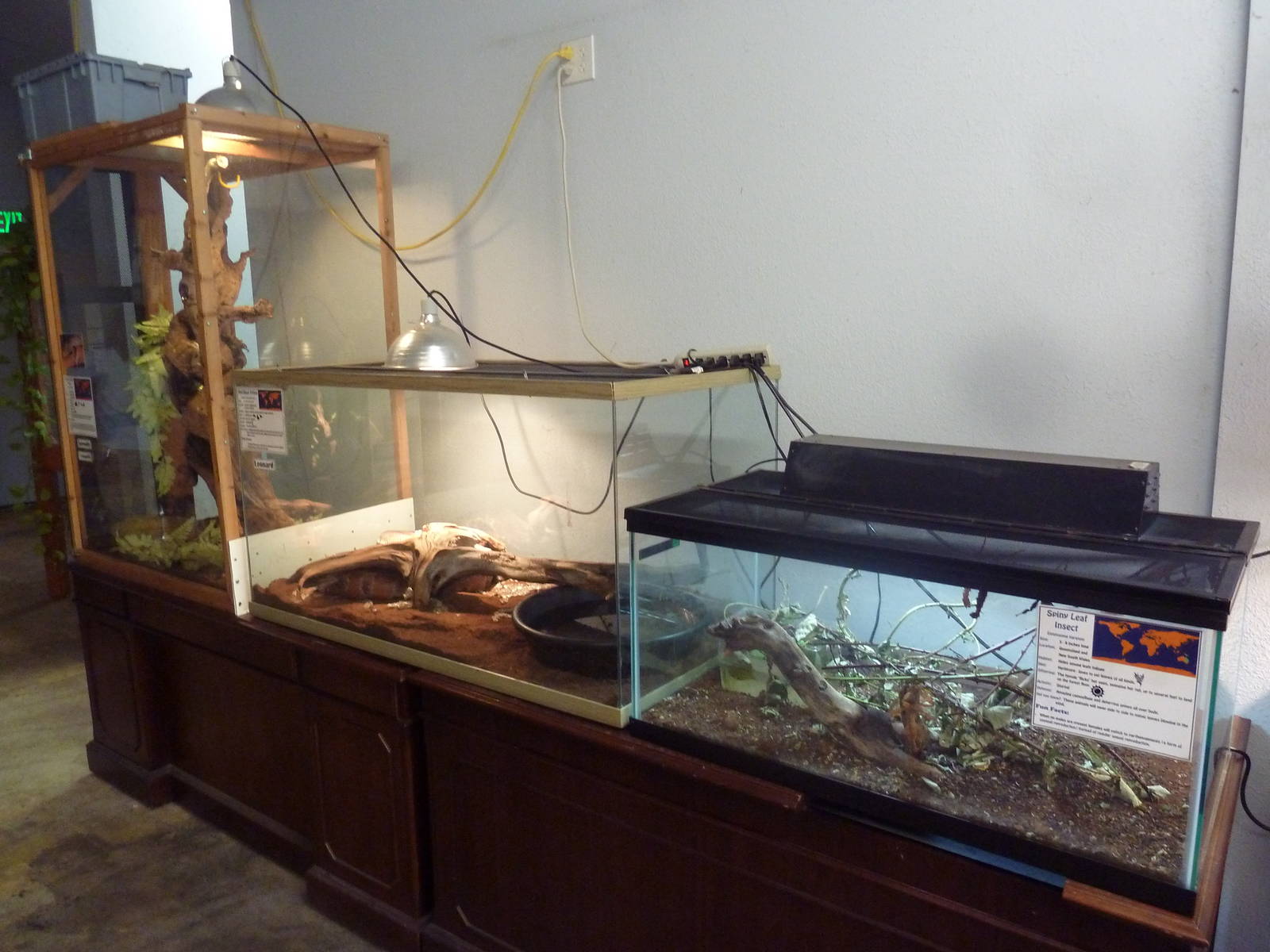 3 Exhibits (see species list below)