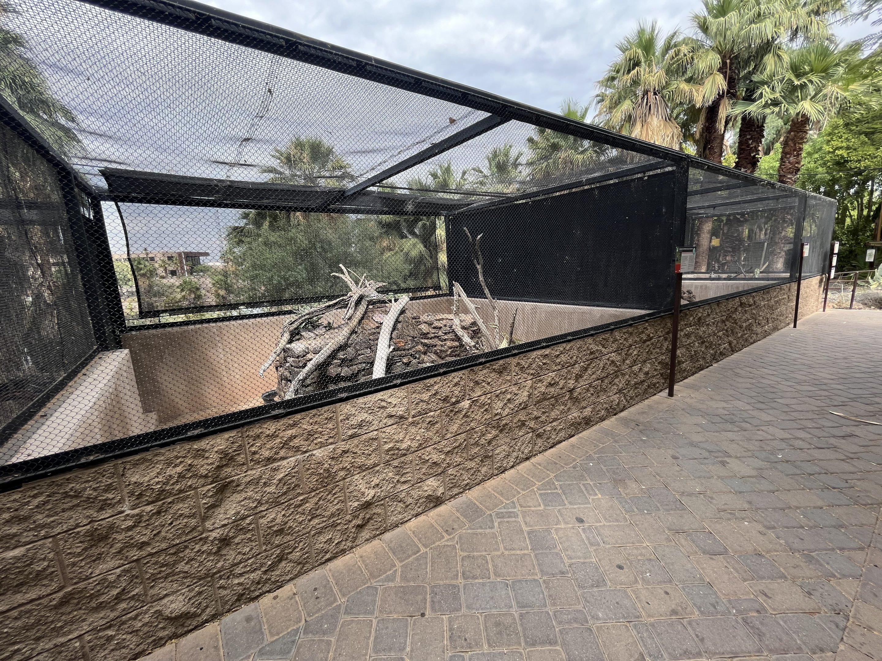 3 Lizard Exhibits (6 species)