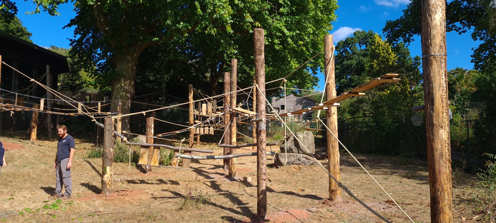 #3 New Sulawesi macaque exhibit upgrade