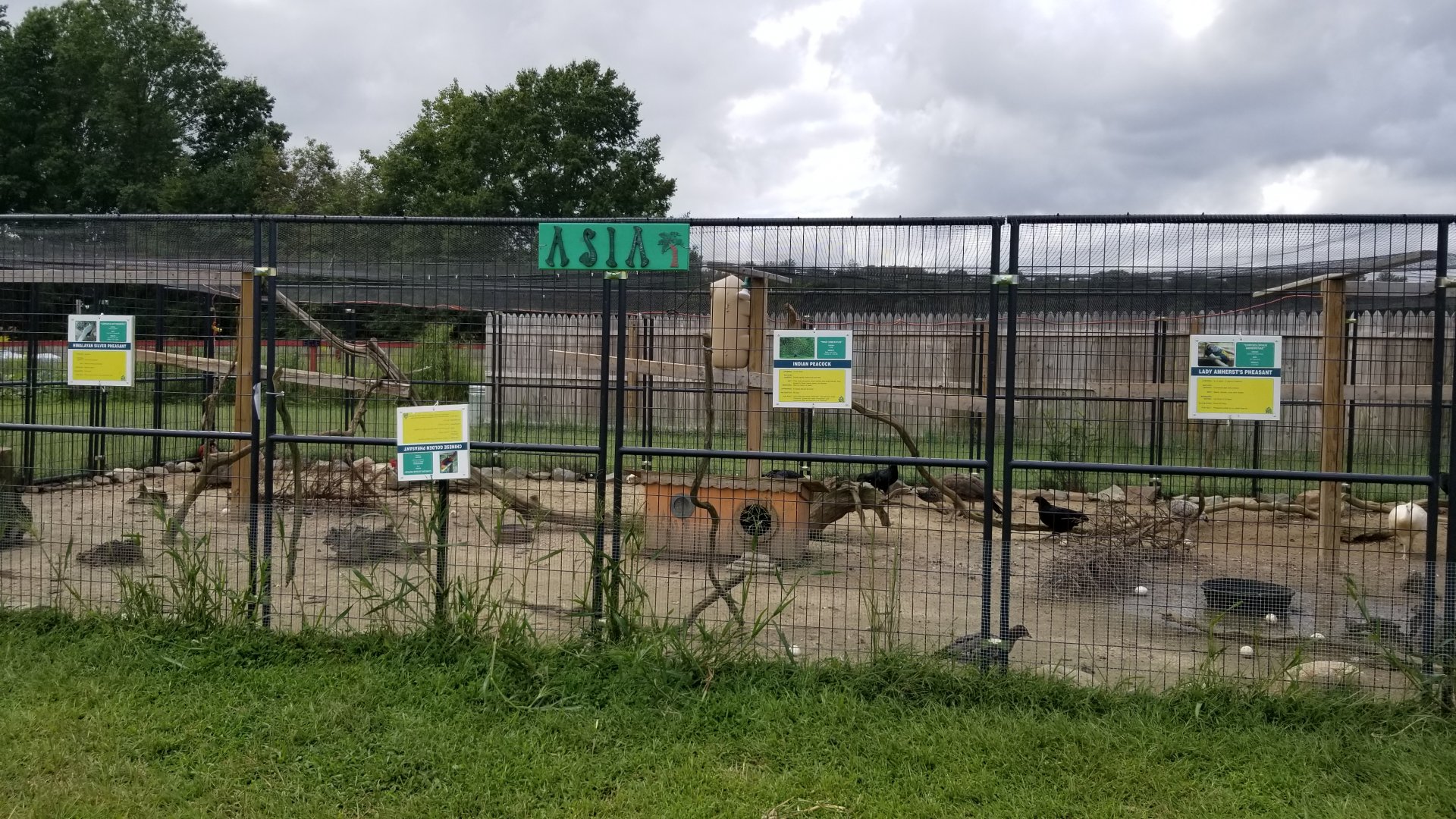 3 Palms Zoo: Asia aviary