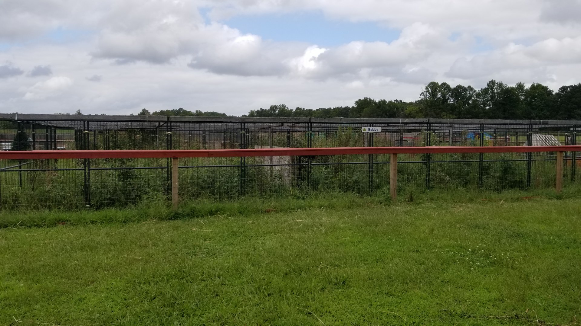 3 Palms Zoo: "Bobby" exhibit (a coyote)