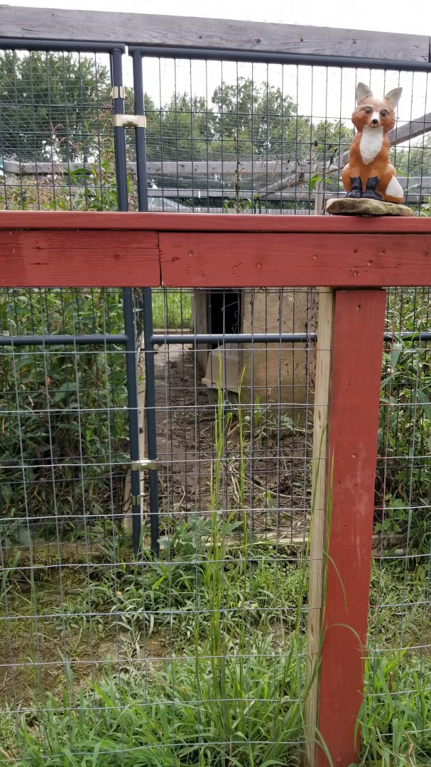 3 Palms Zoo: den in "silver" fox exhibit
