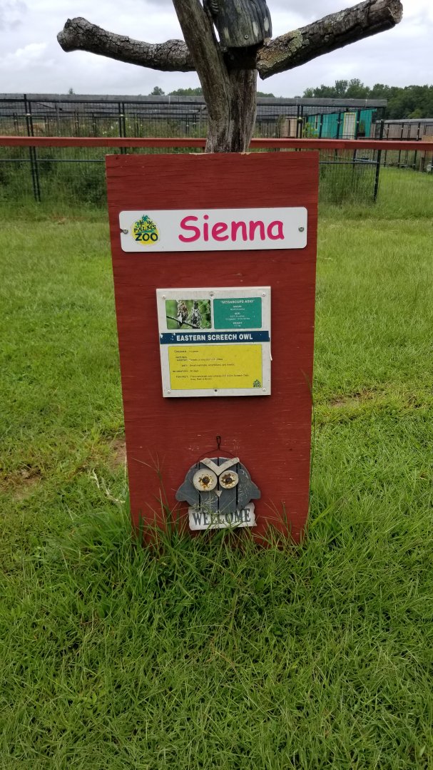 3 Palms Zoo: eastern screech owl sign