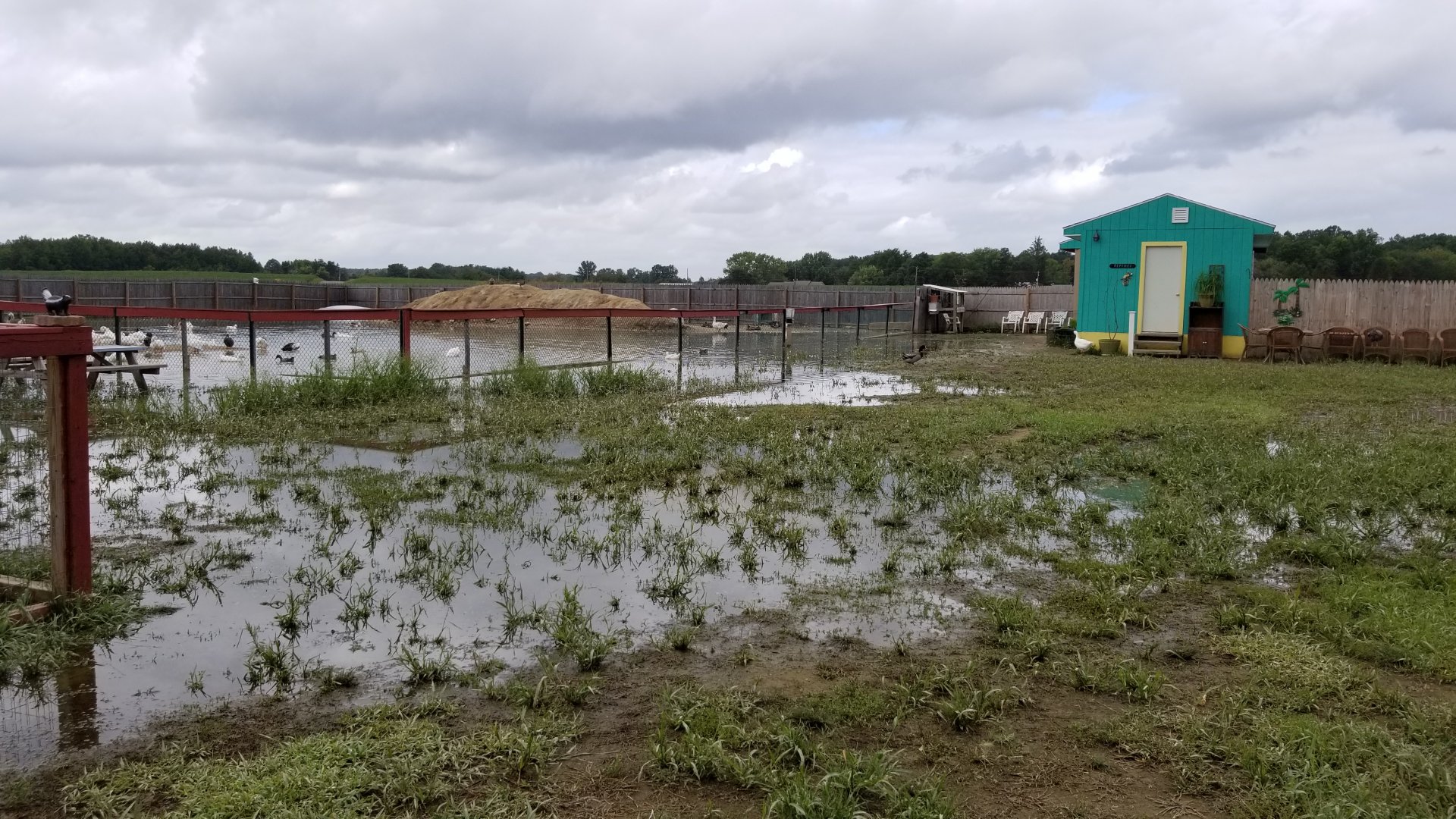 3 Palms Zoo: end of large water birds area