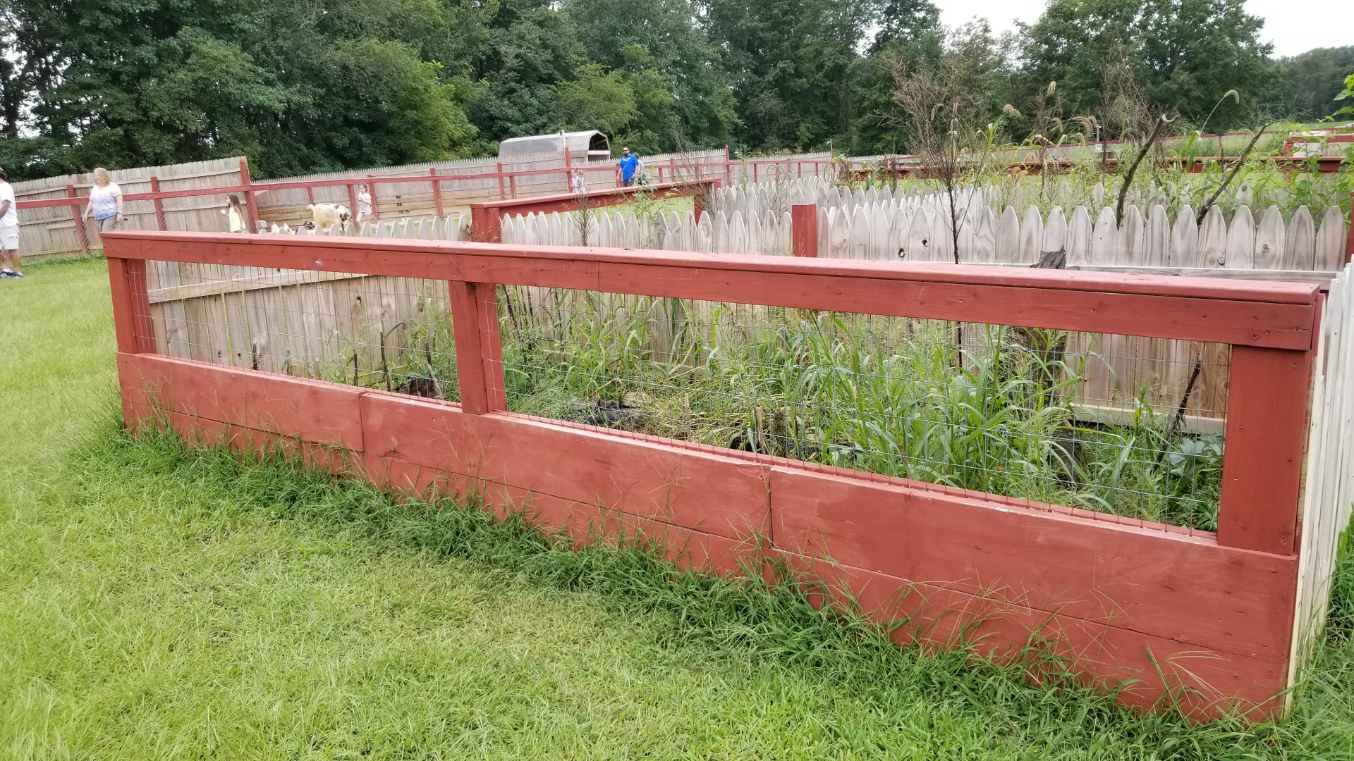3 Palms Zoo: example of turtle exhibits; 4 of these make a square