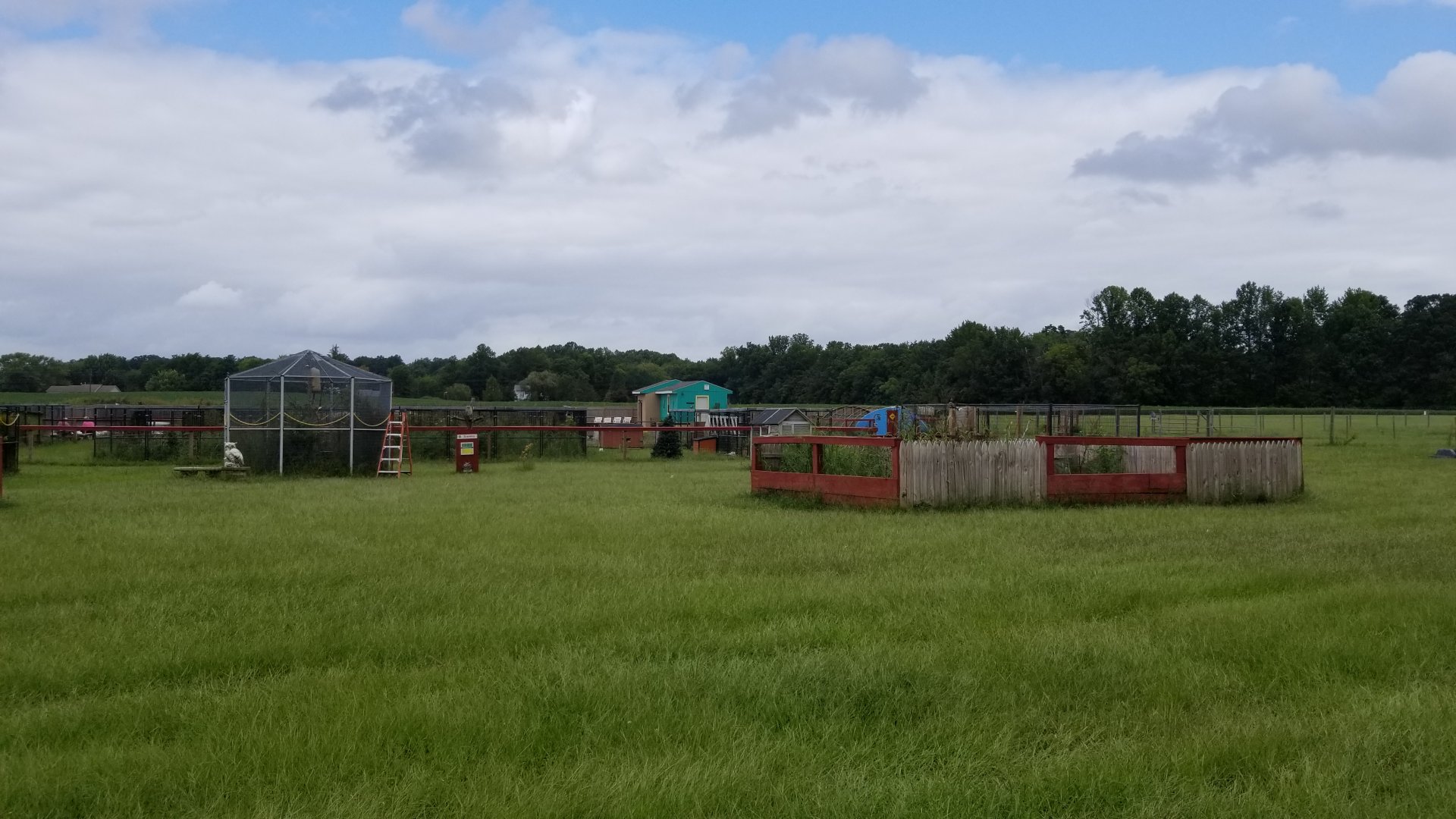 3 Palms Zoo: more exhibits, turtles in foreground
