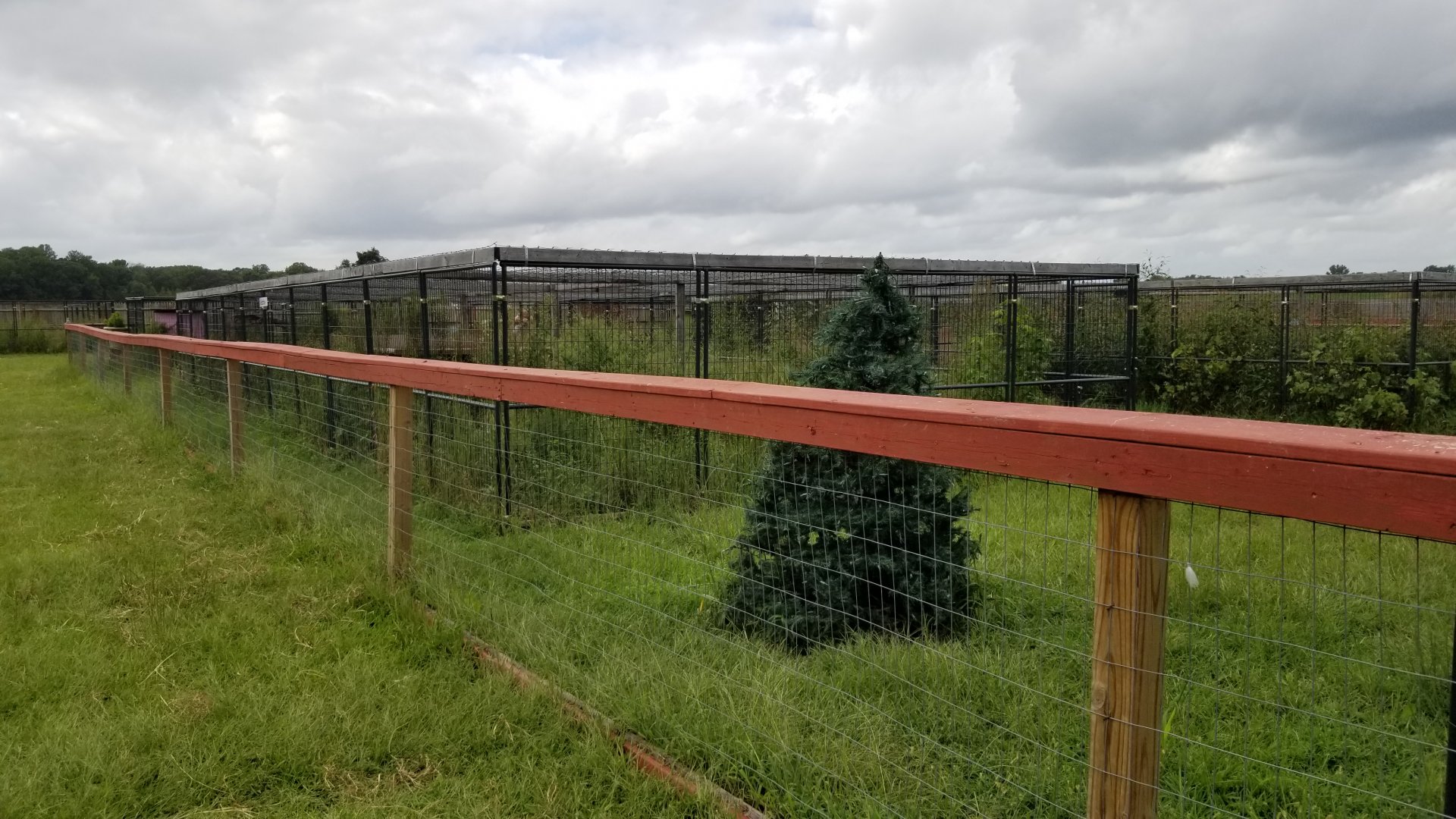 3 Palms Zoo: non-farm mammals area