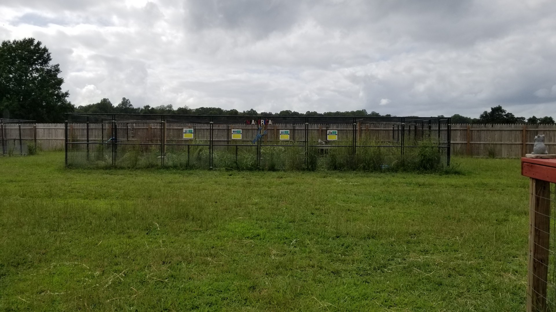 3 Palms Zoo: North America aviary