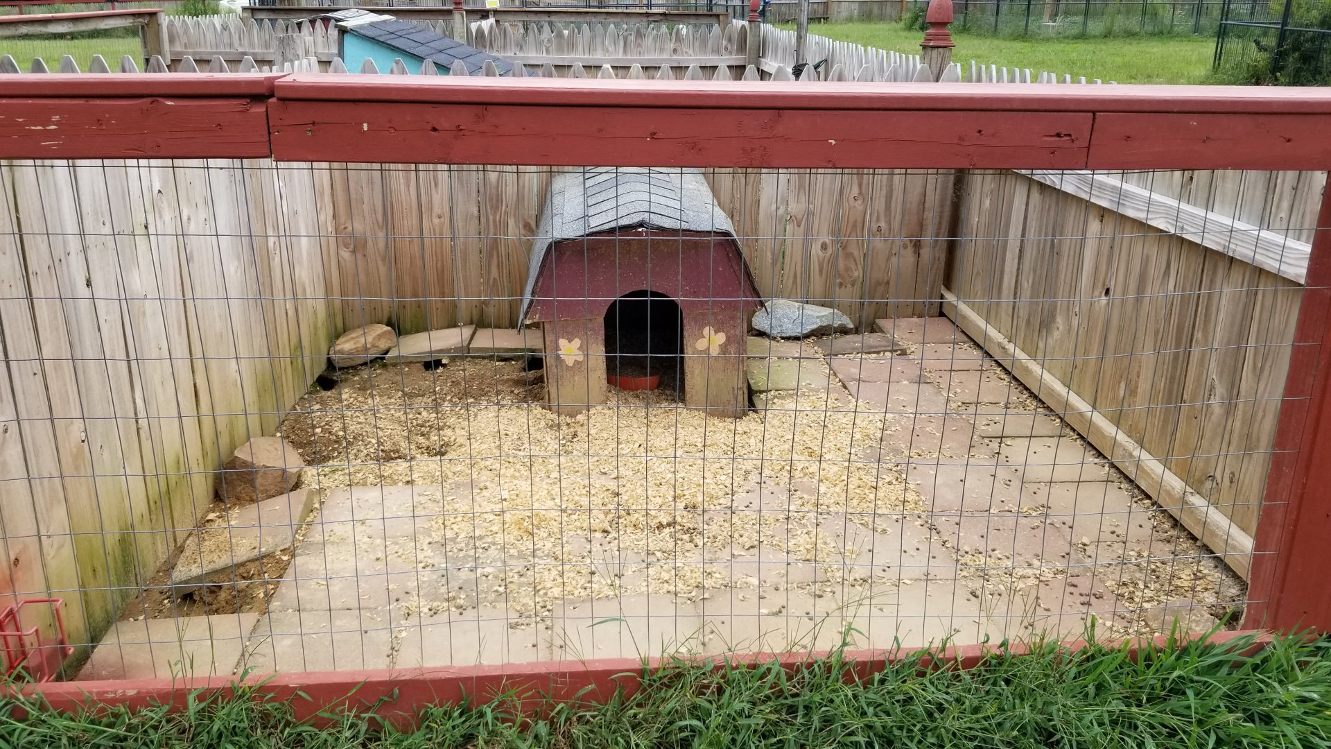 3 Palms Zoo: rabbits; a hole on the left leads to the rabbits in the previous photo
