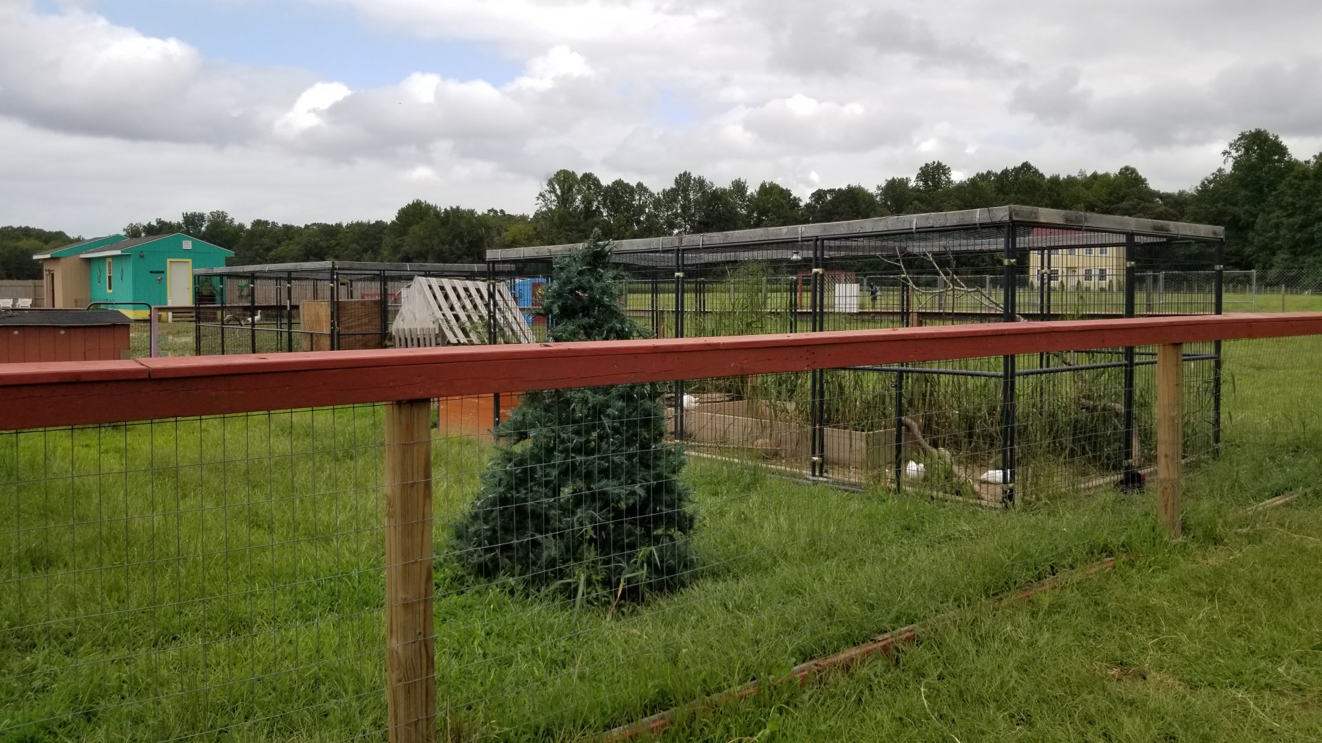 3 Palms Zoo: skunk and groundhog exhibits from side