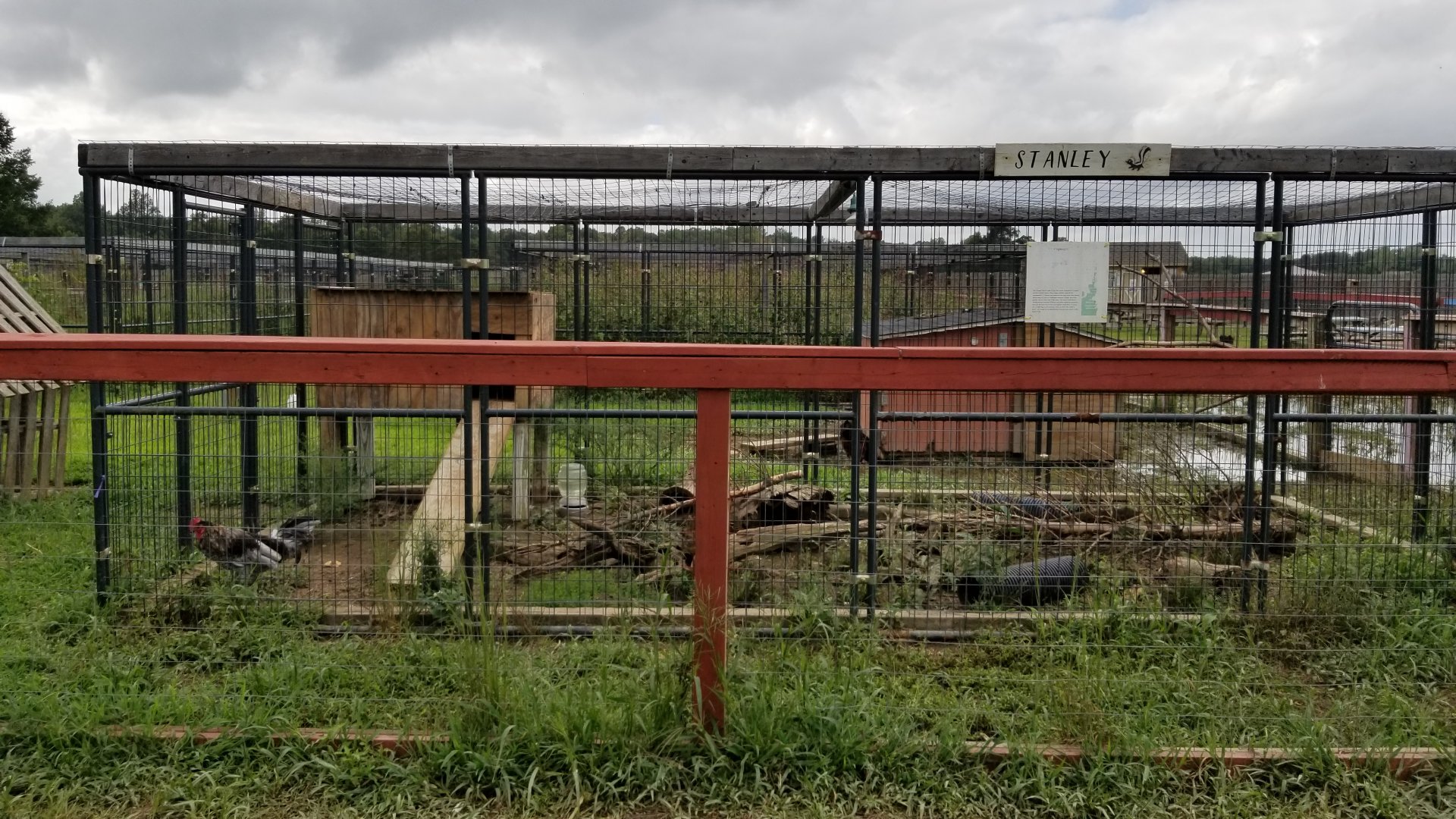 3 Palms Zoo: skunk exhibit