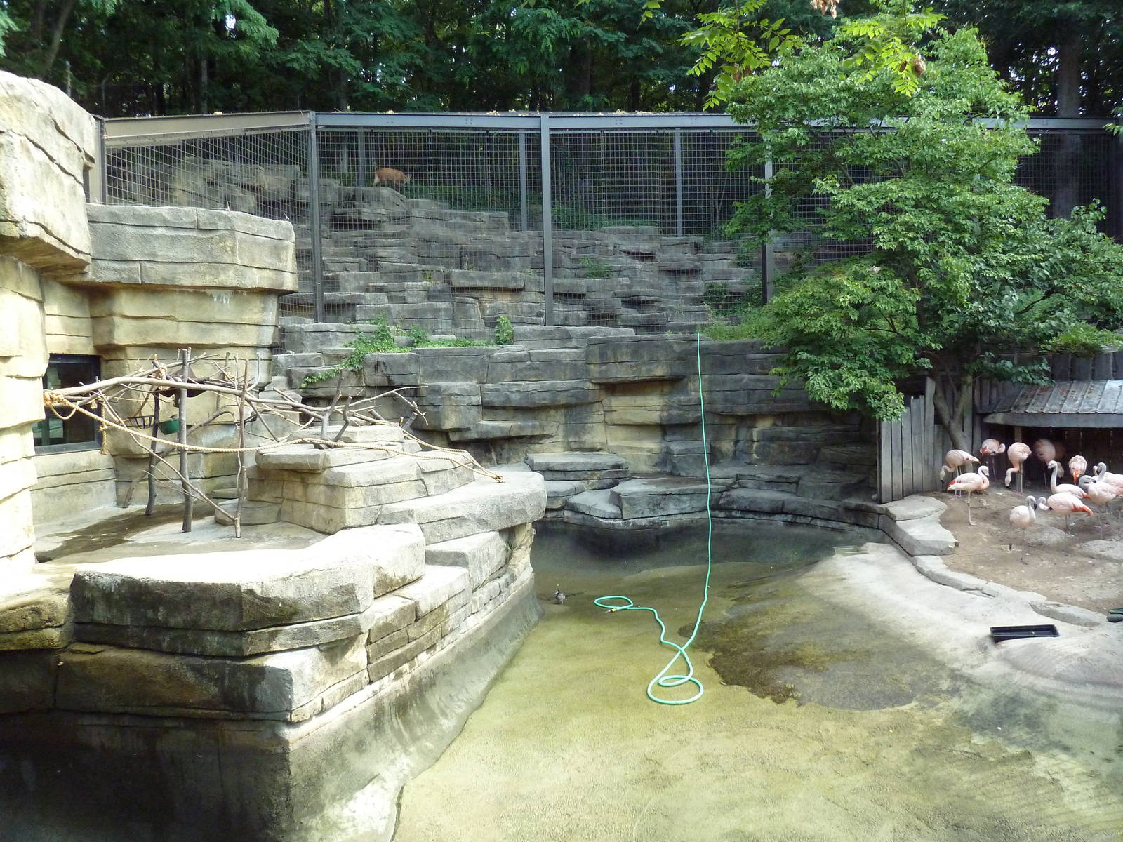 3 South American Exhibits