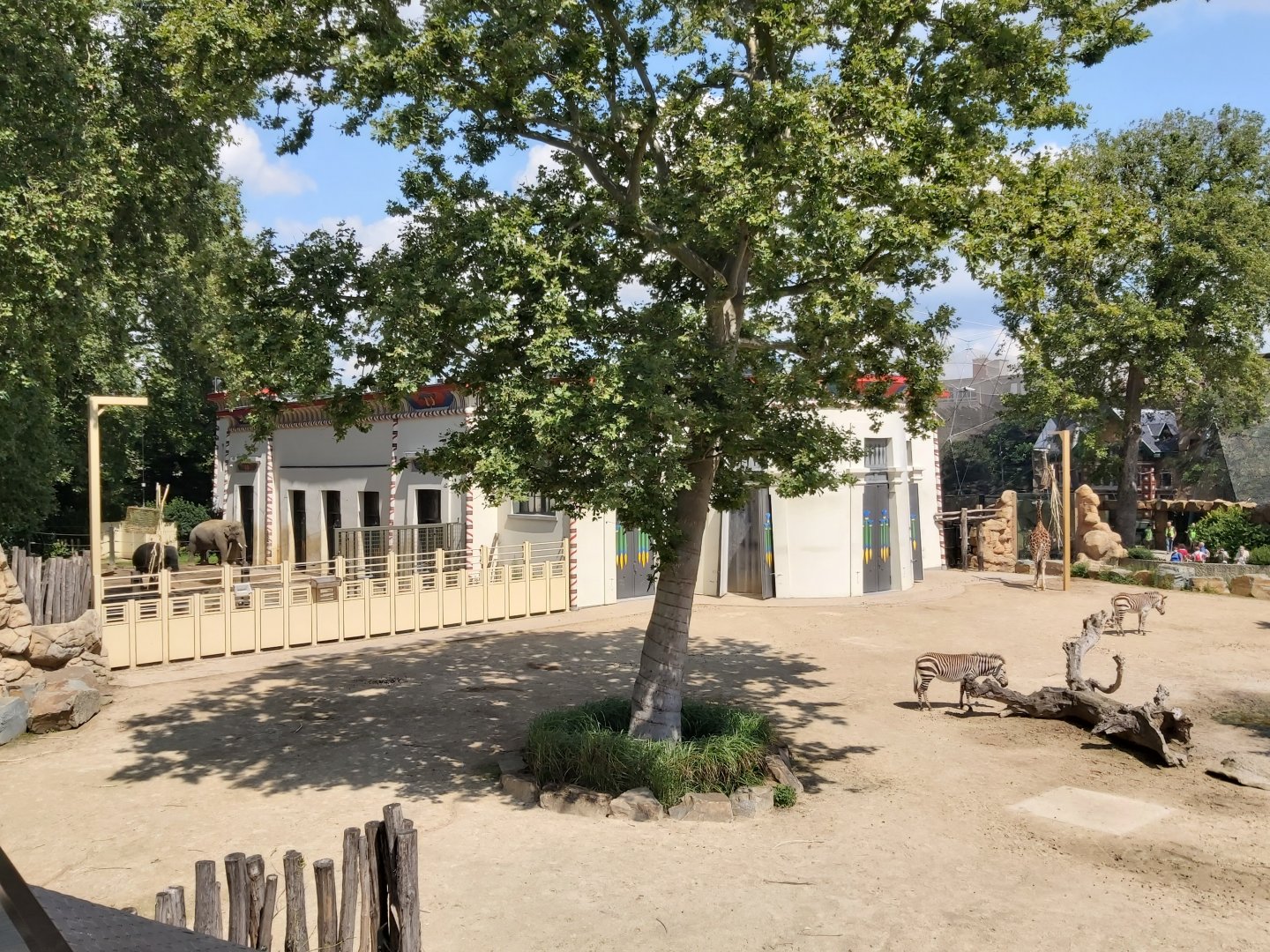 3 species on one photo