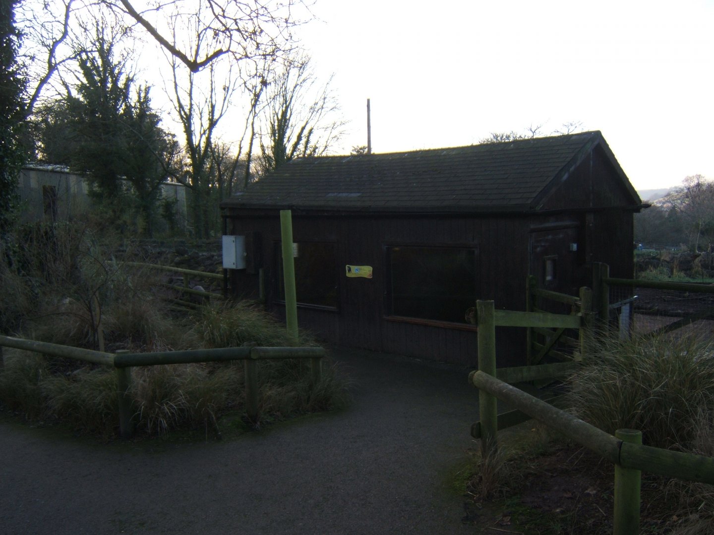 30/12/2016 View of Collared Peccary House