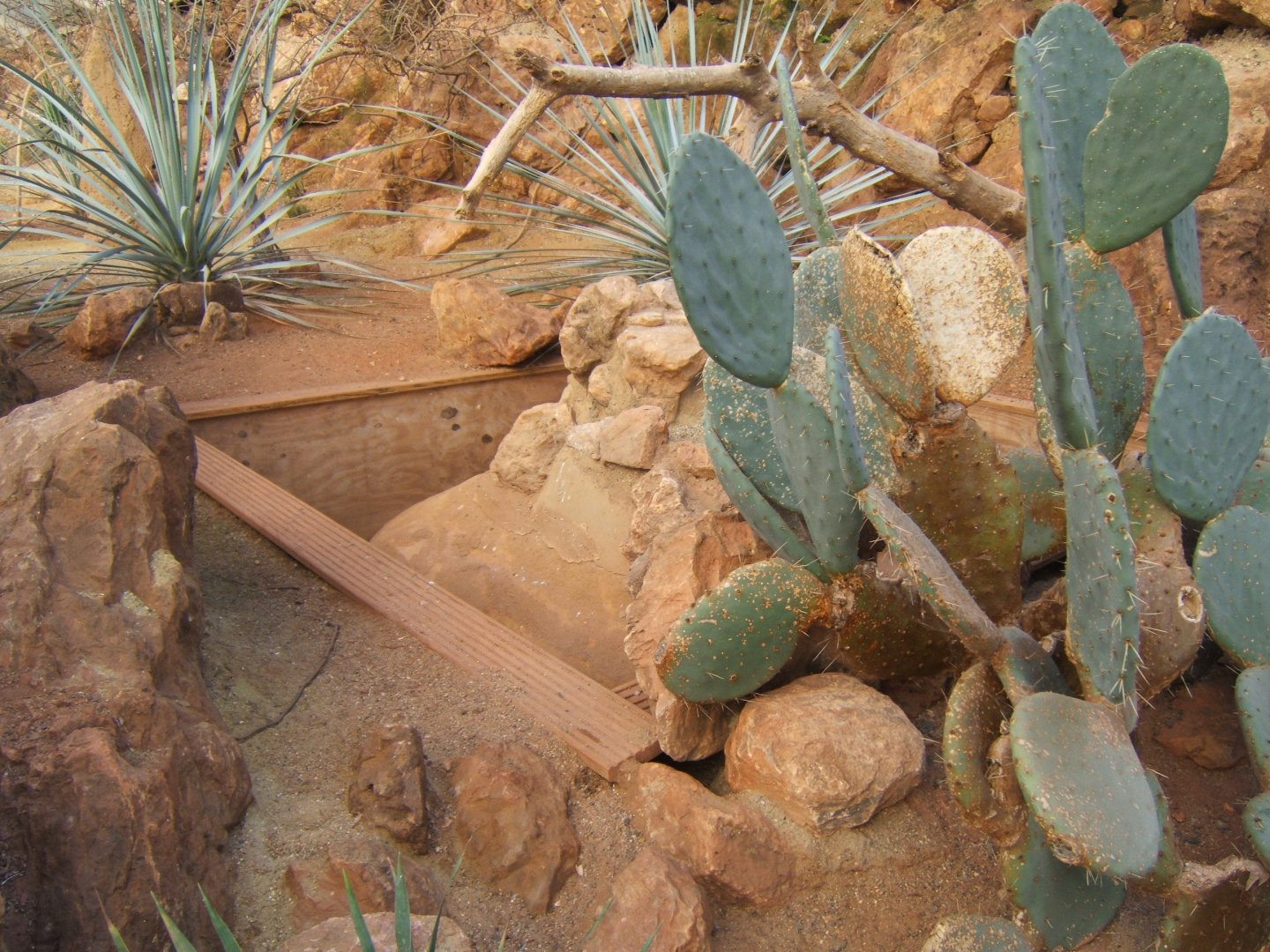 30/12/2016 view of part of the disused Monitor exhibit