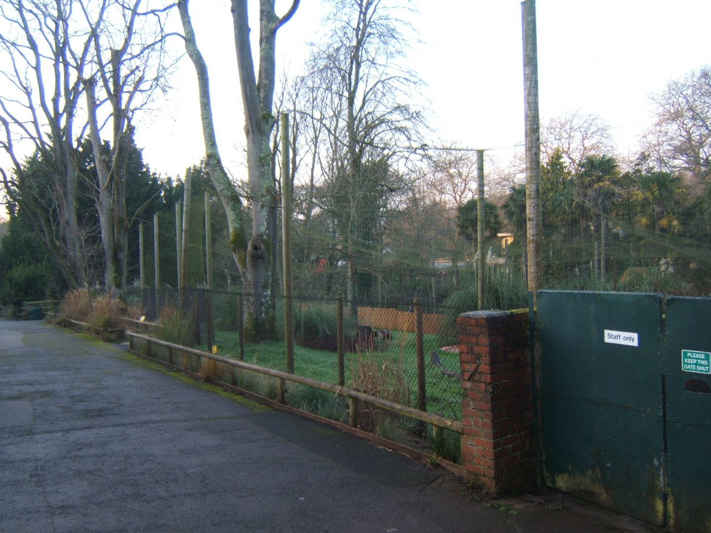 30/12/2016 View of Secretary Bird enclosure