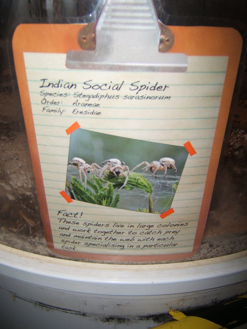 30/12/2016 View of signage