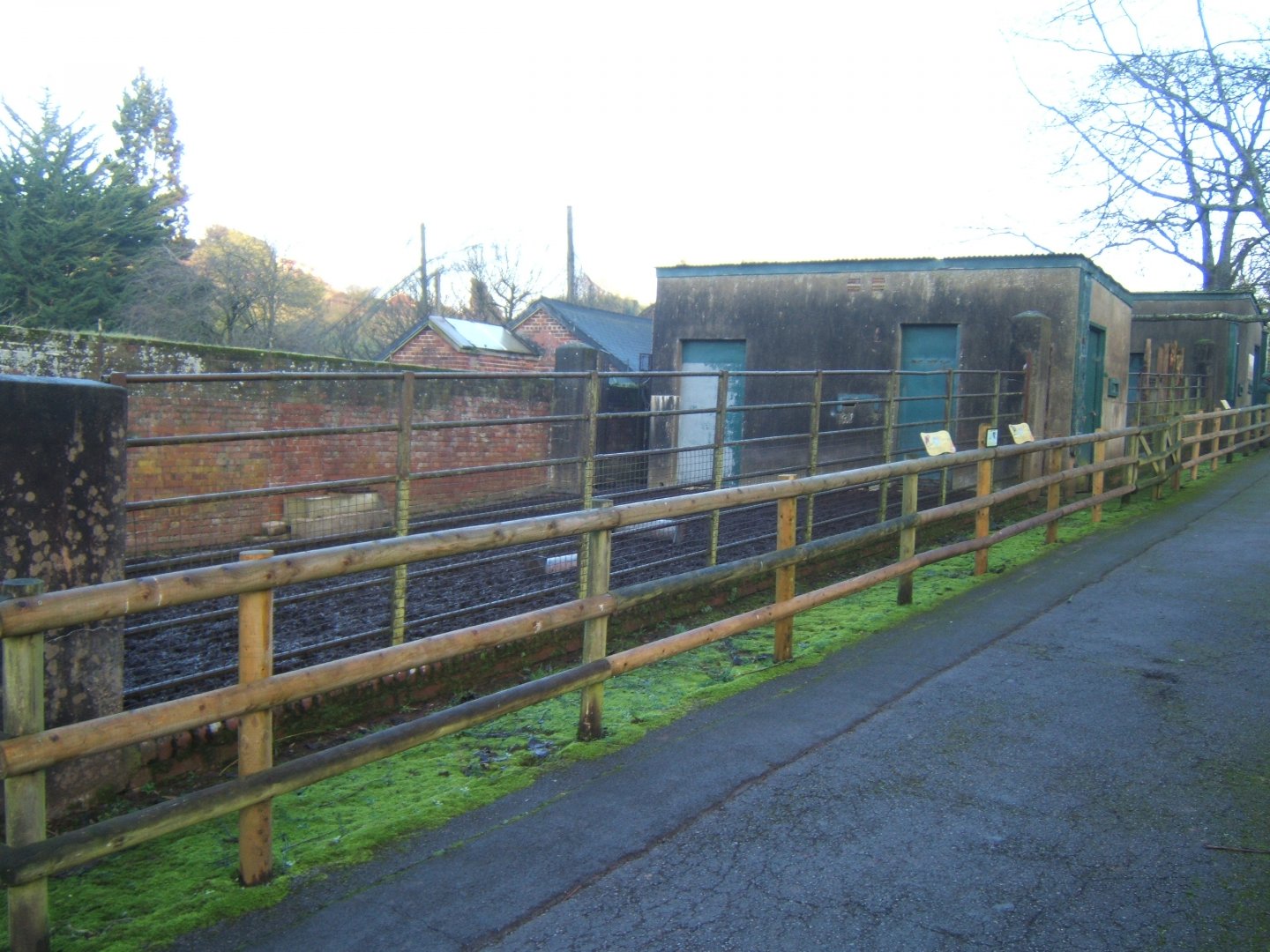 30/12/2016 View of Tapir enclosure