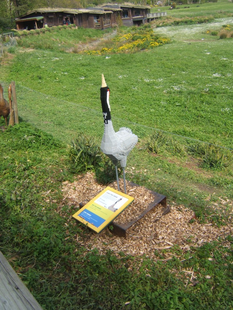 30/4/2017 Lego Common Crane