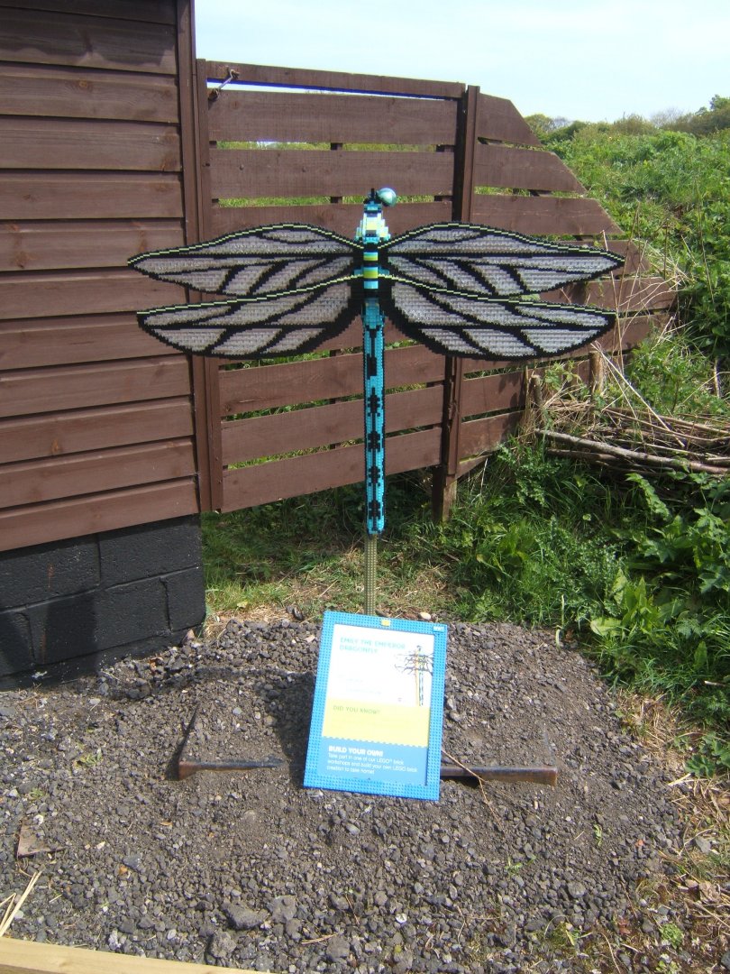 30/4/2017 Lego Dragonfly